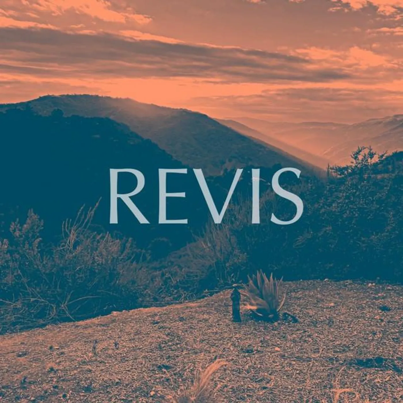 Revis