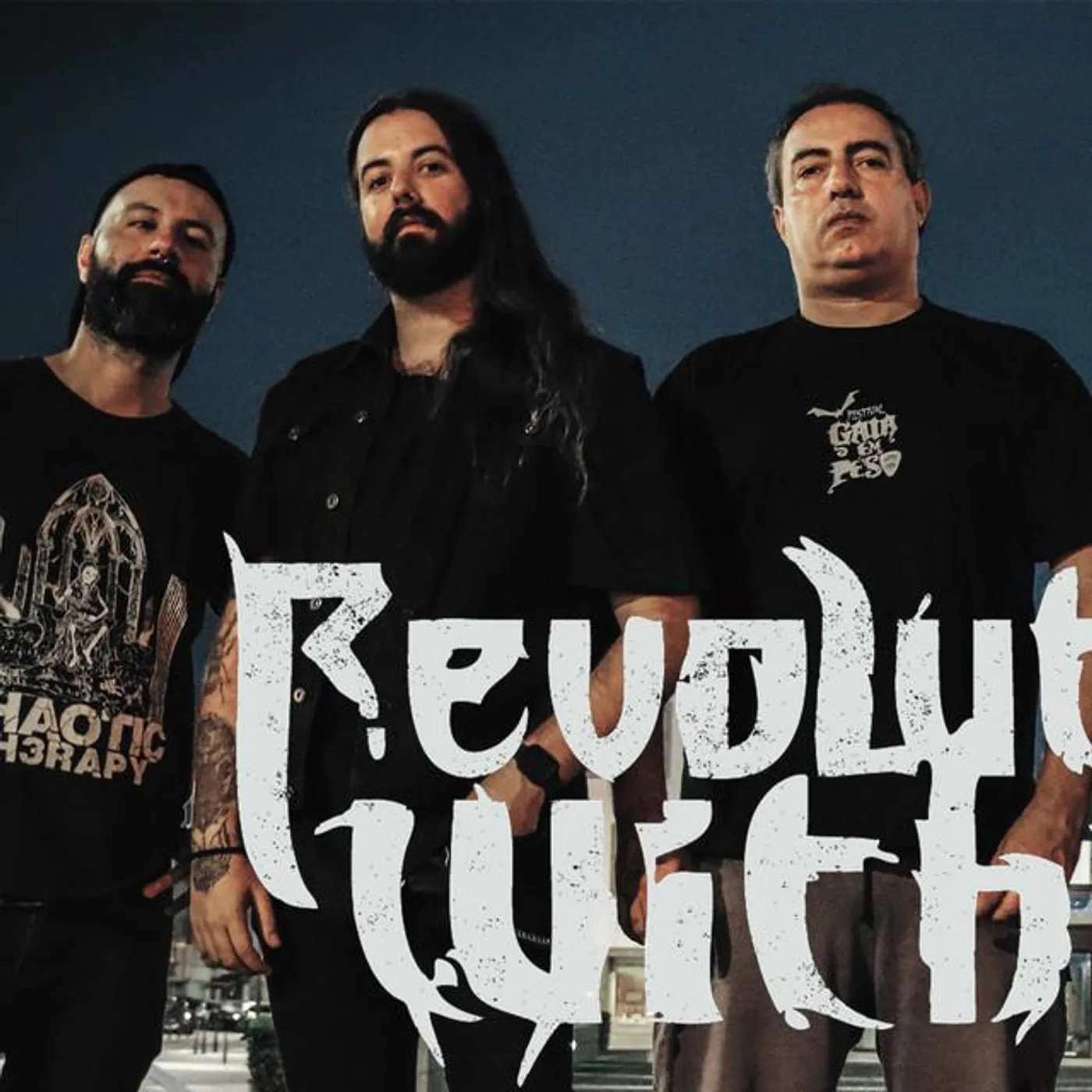 Revolution Within