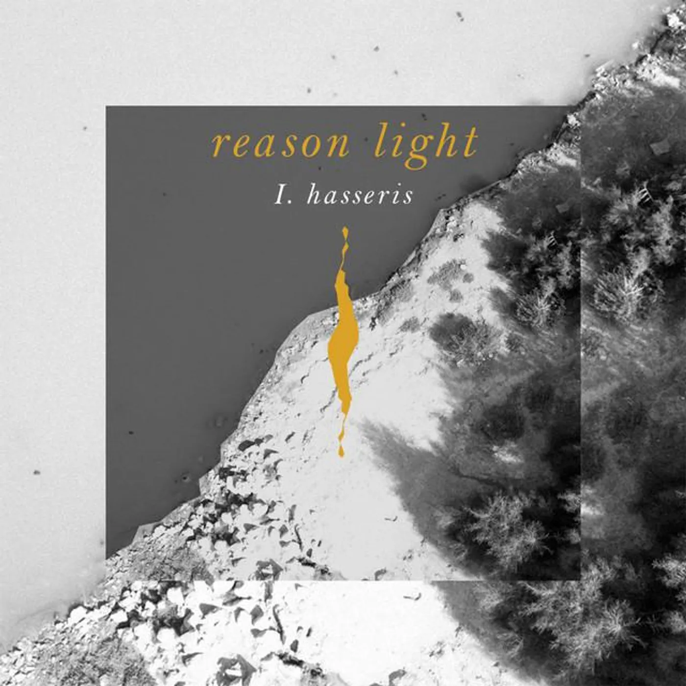 Reason Light