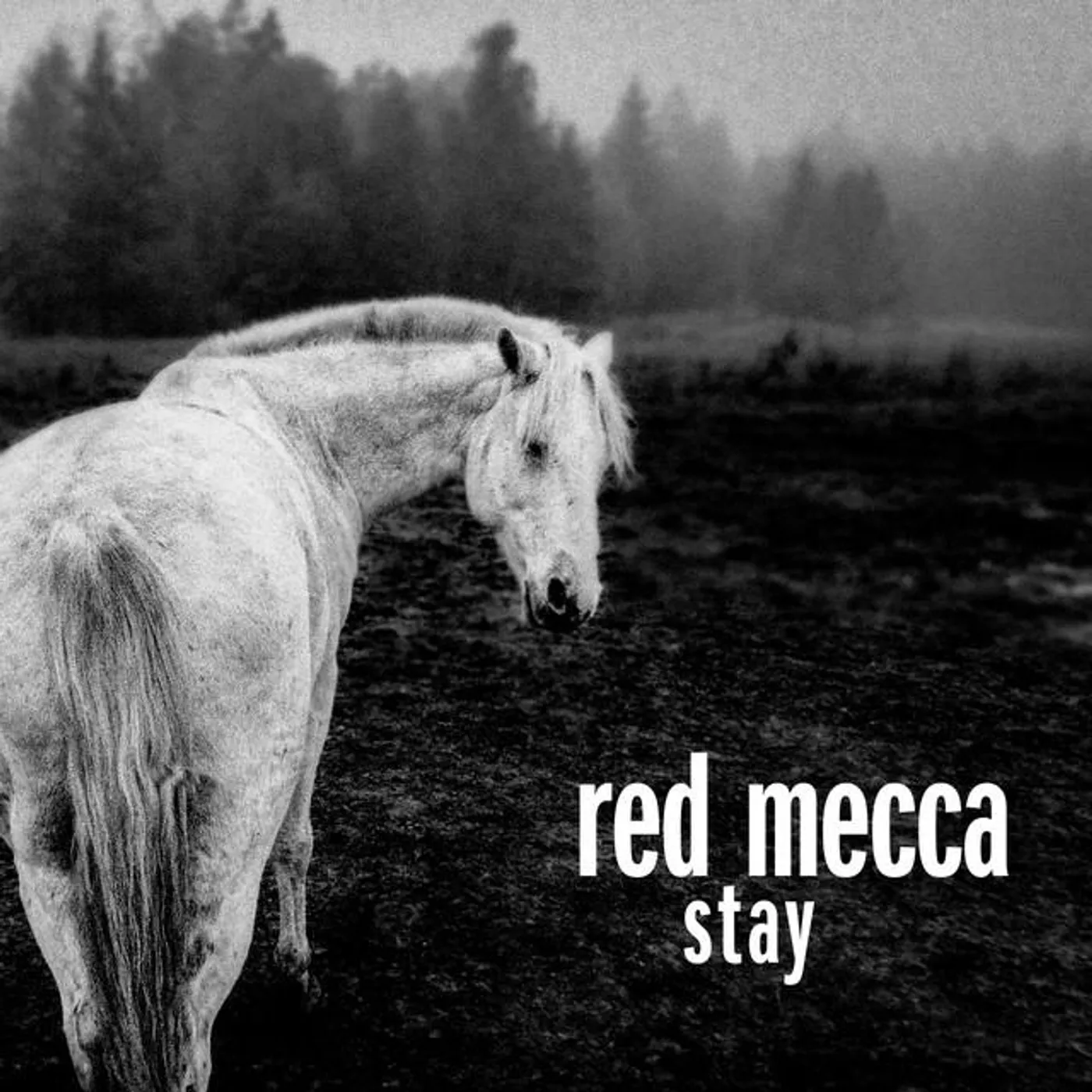 Red Mecca Brand Page