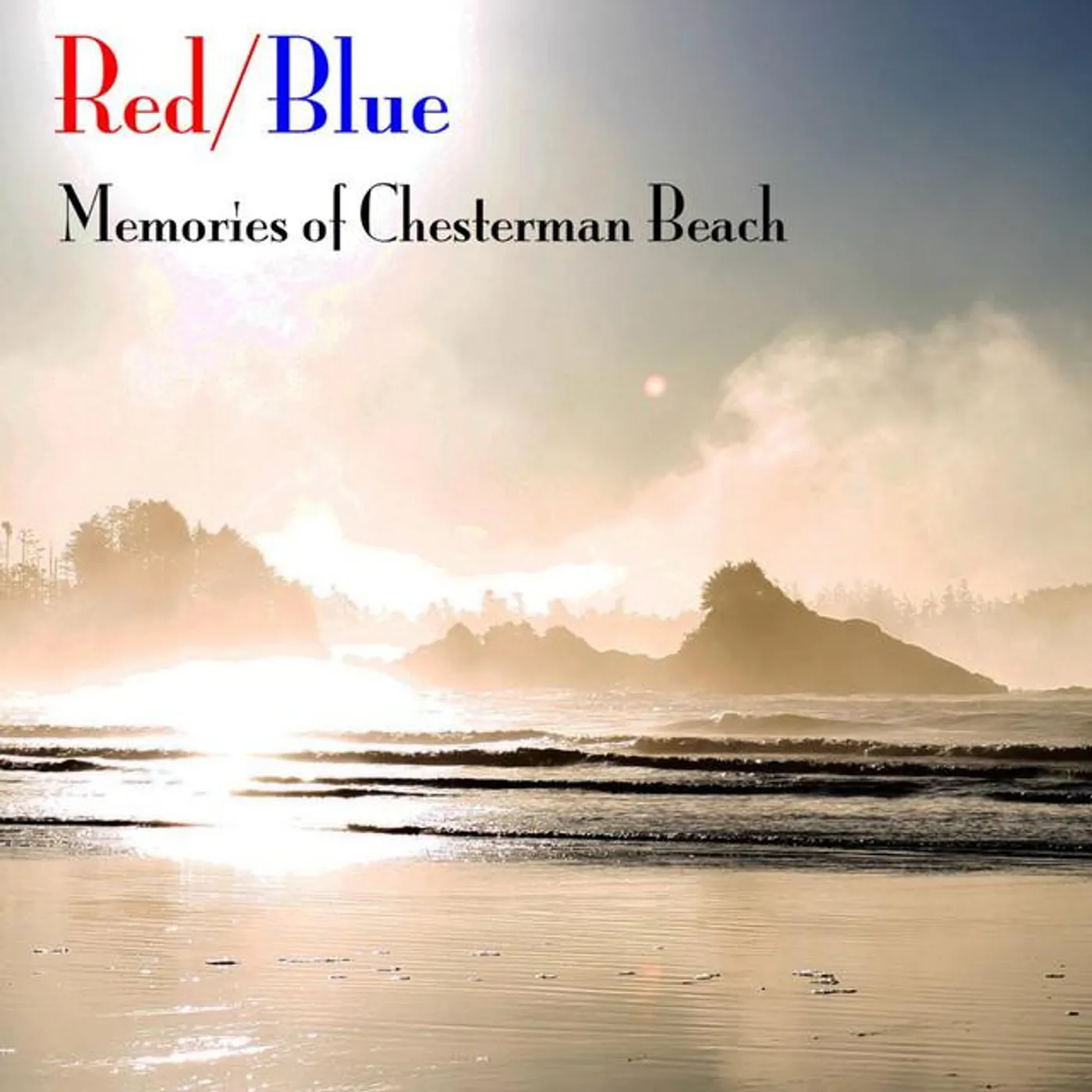 Red/Blue Experimental Musical Group