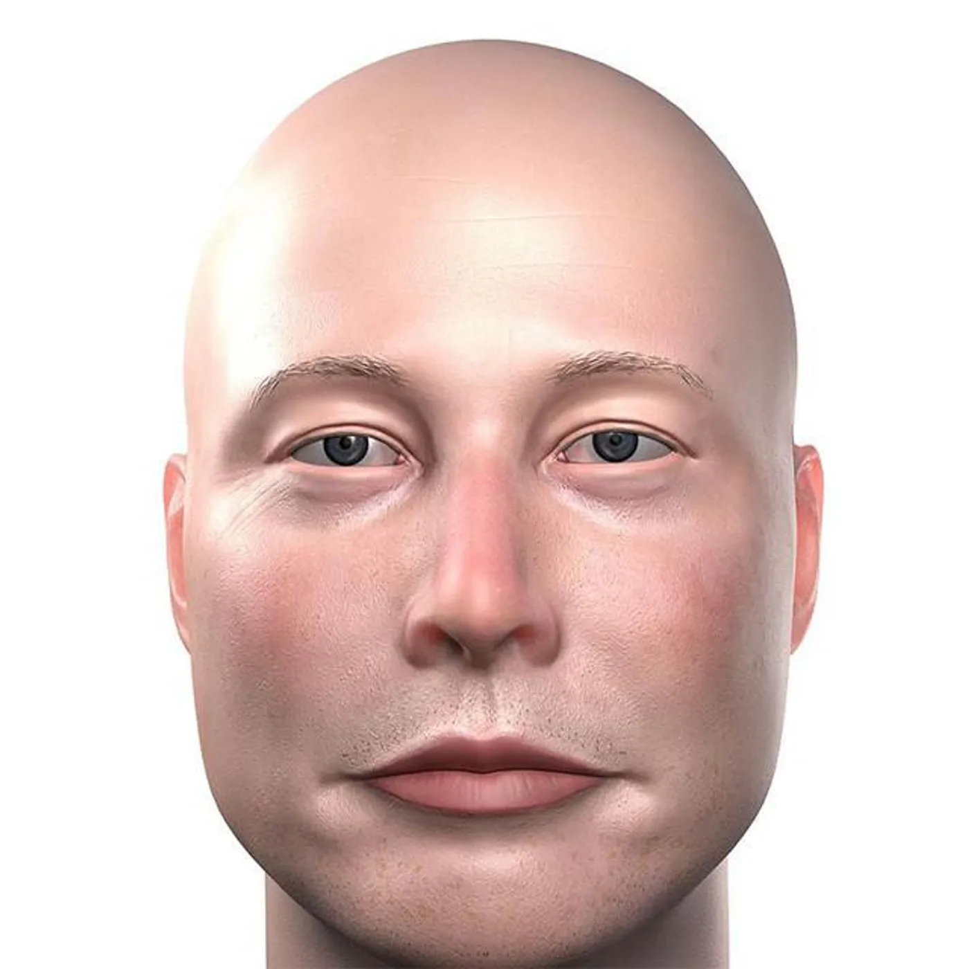 Regel Sabres Brand Page