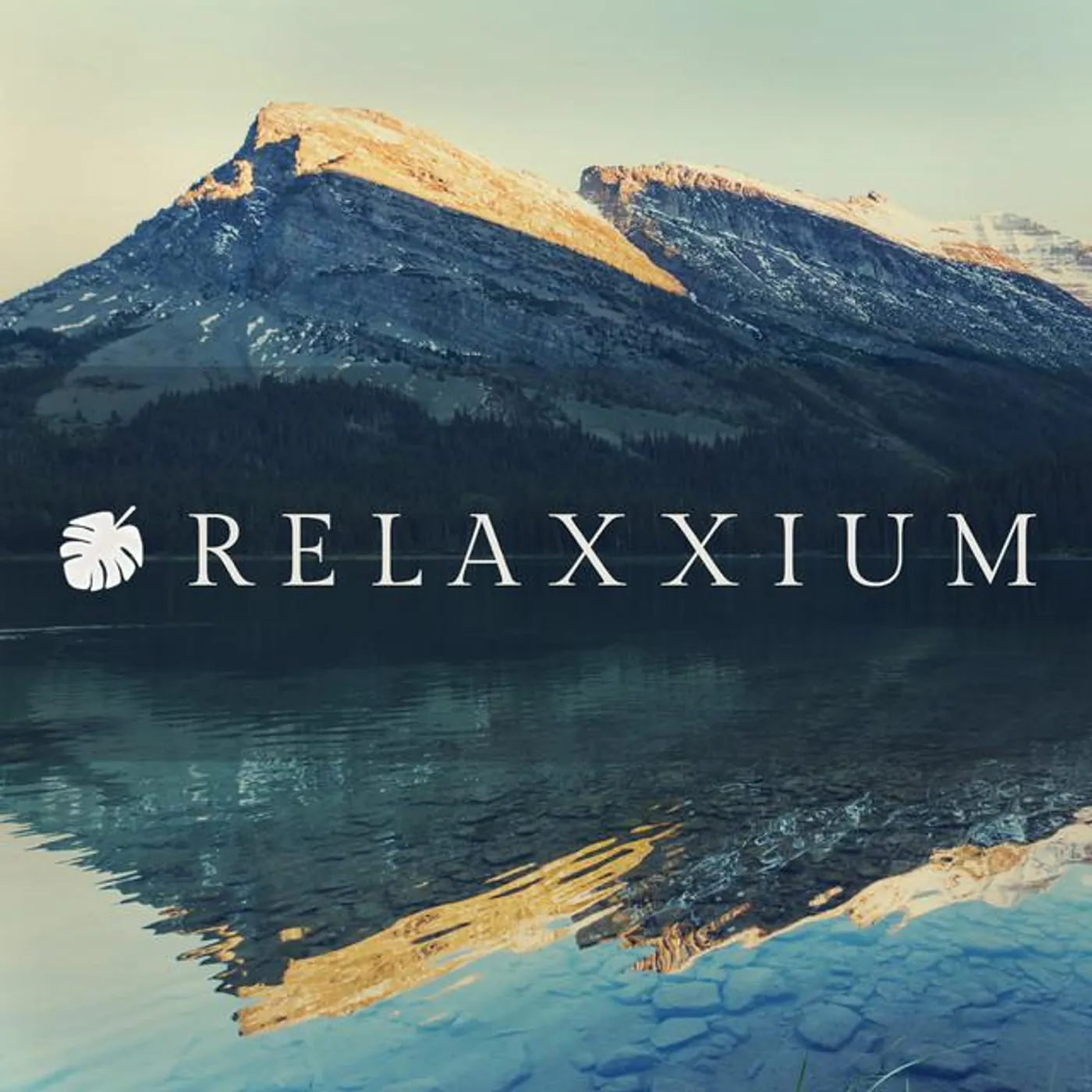 Relaxxium Brand Page