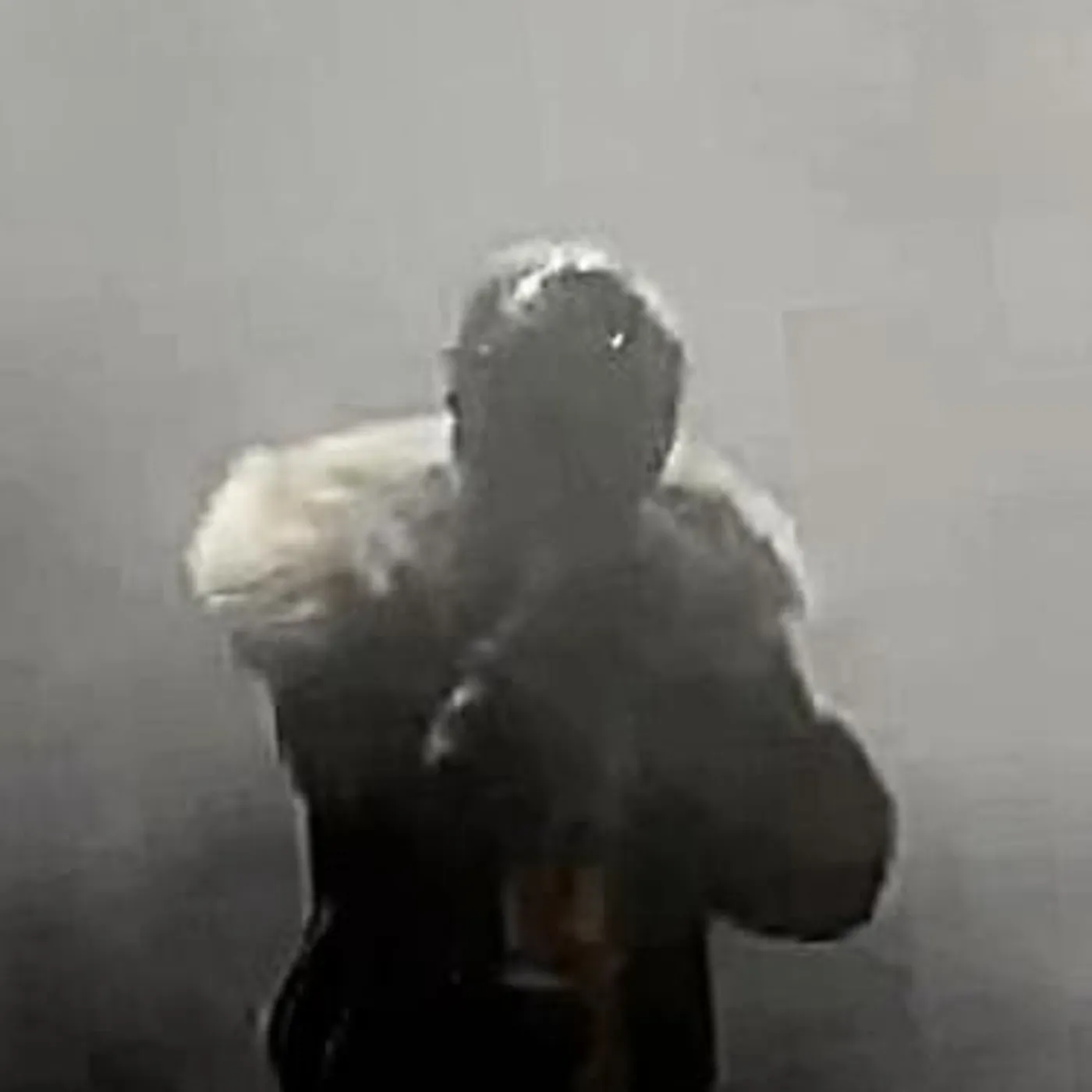 removeface