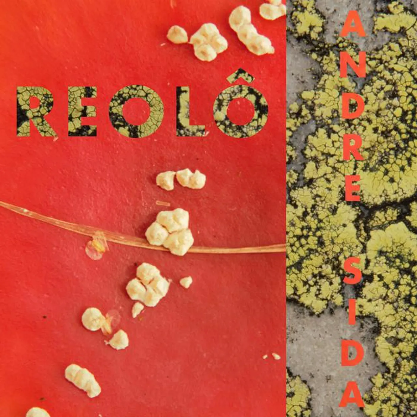 Reolo Brand Page