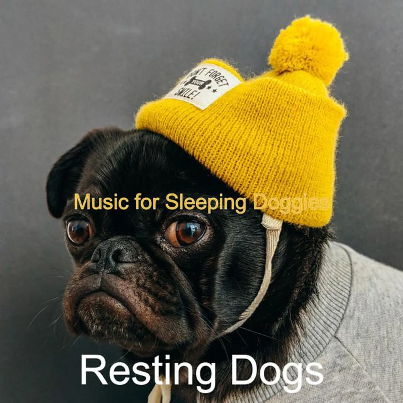 Resting Dogs