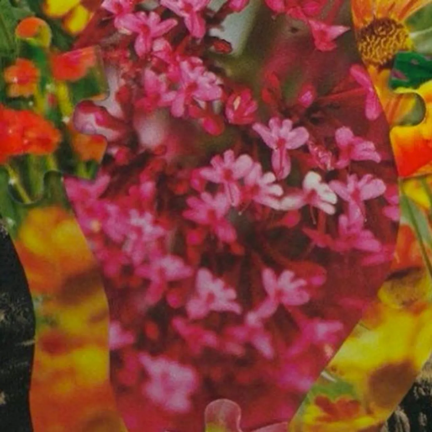 River Jones Brand Page