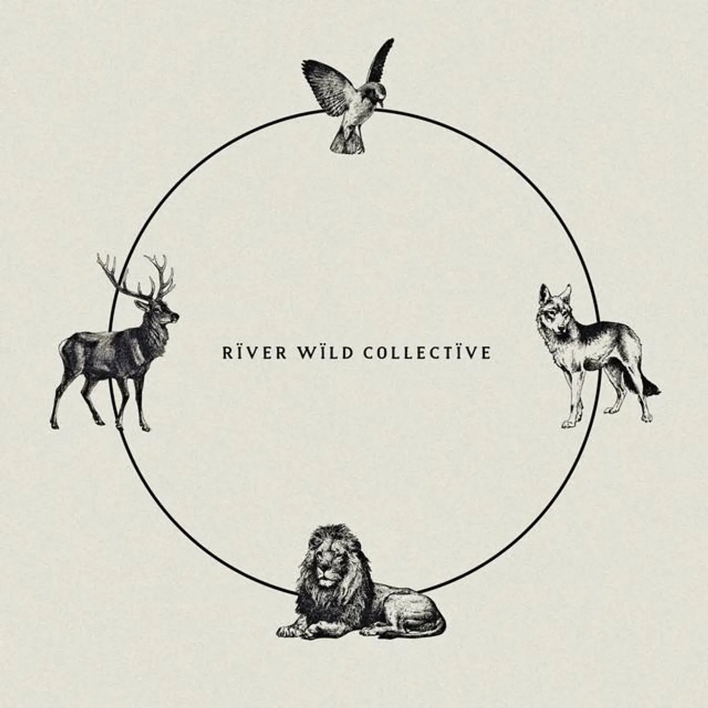 River Wild Collective Brand Page