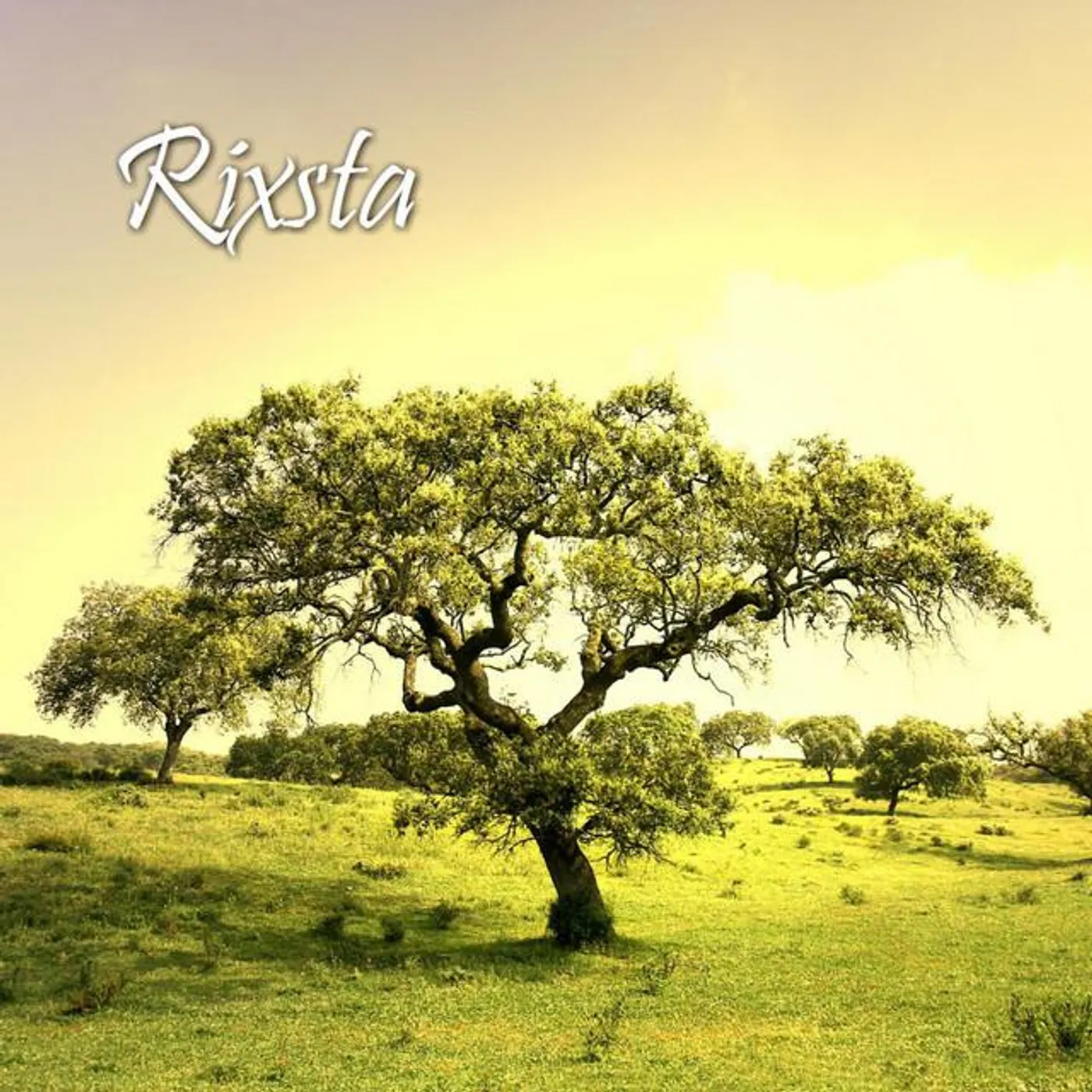 Rixsta Brand Page