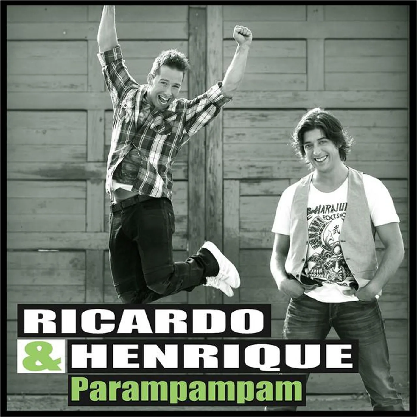 Ricardo & Henrique Brand Page