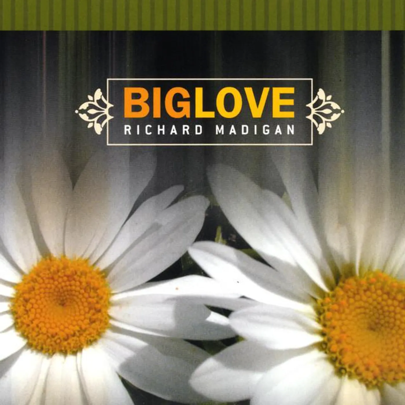 Richard Madigan