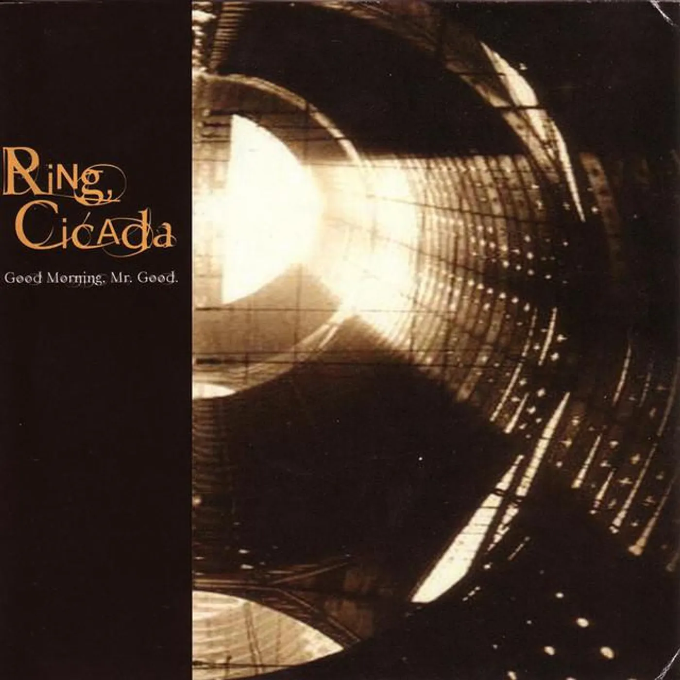 Ring, Cicada Brand Page