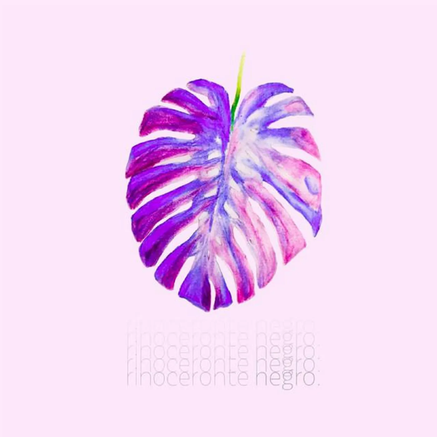 Rinoceronte Negro