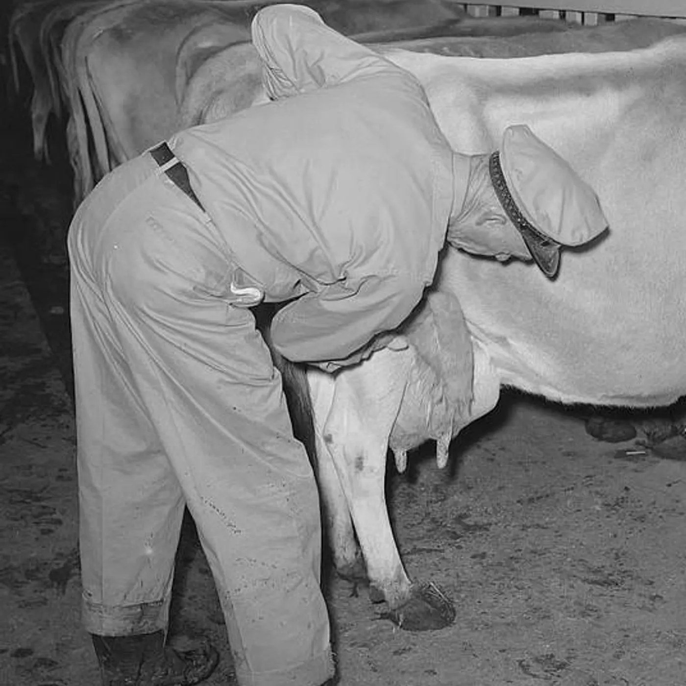 Rubber Udder Brand Page