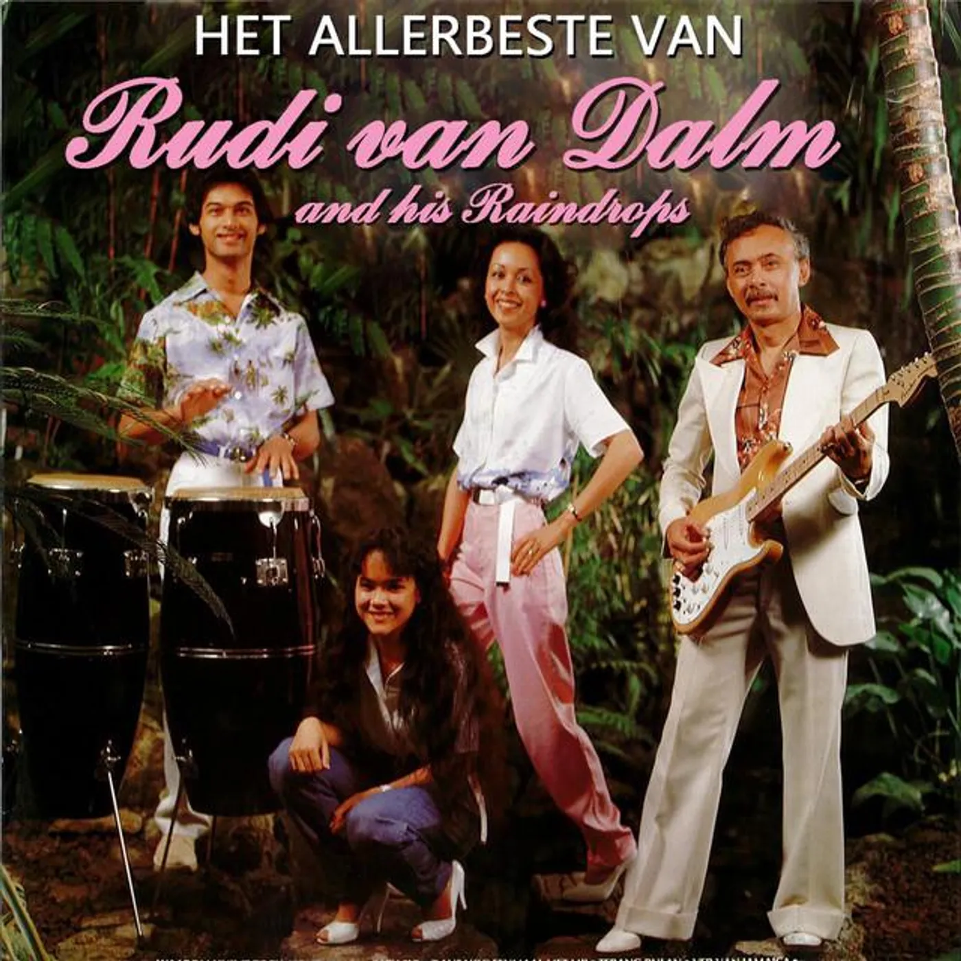 Rudi Van Dalm