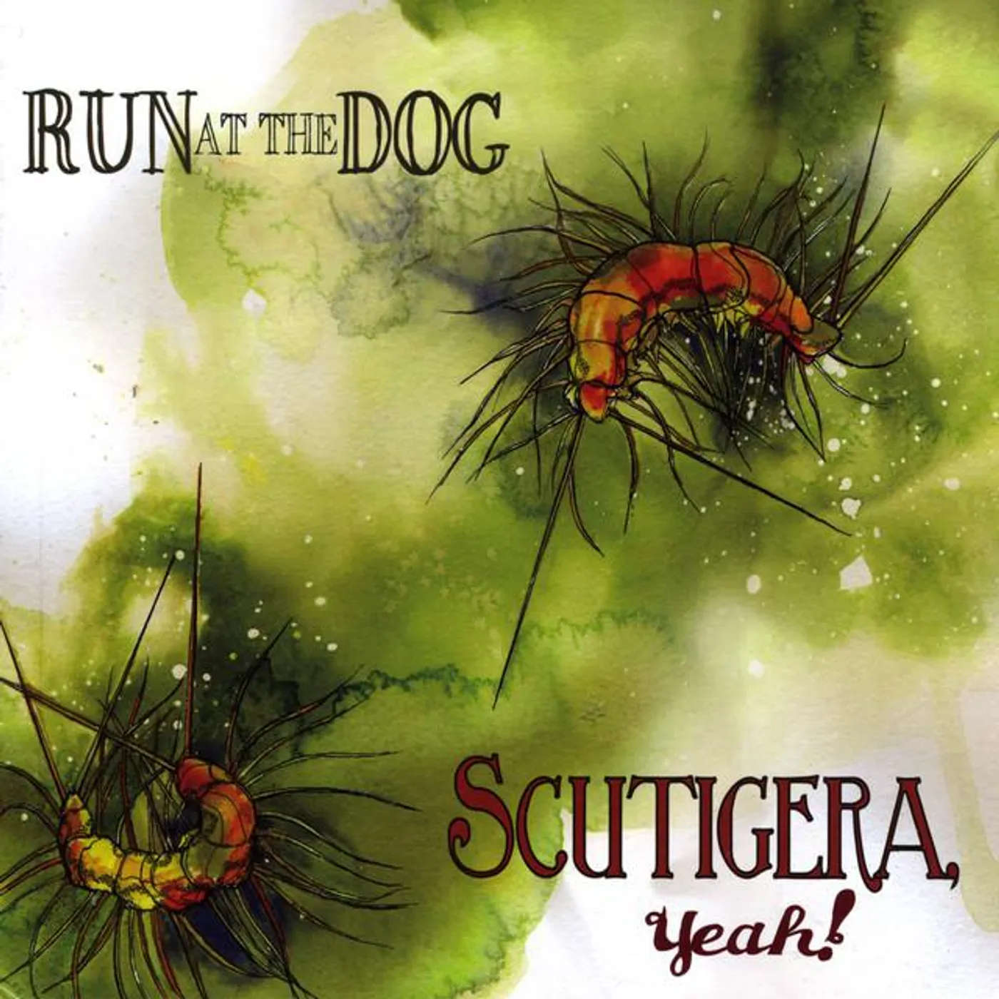 Run at the Dog