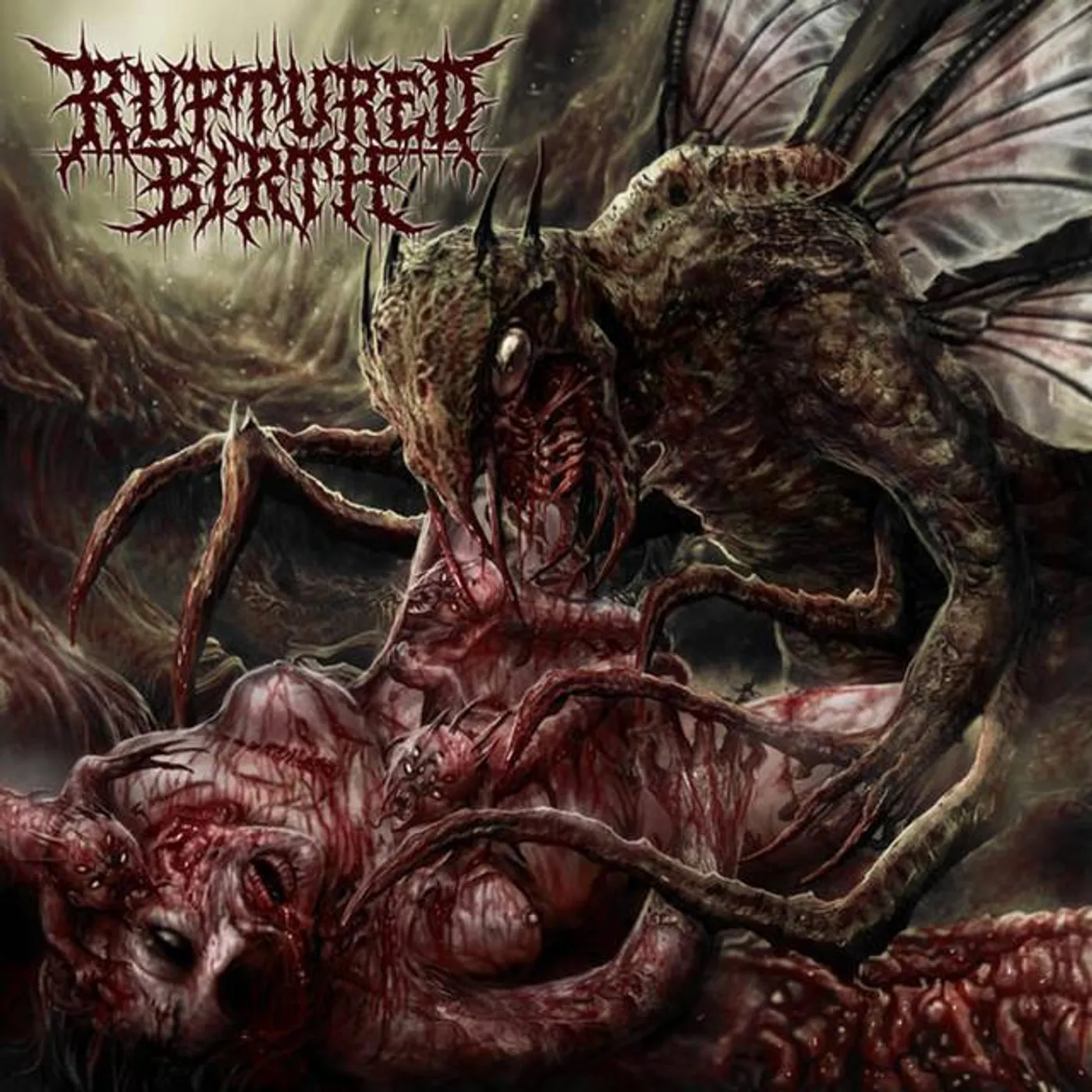 Ruptured Birth