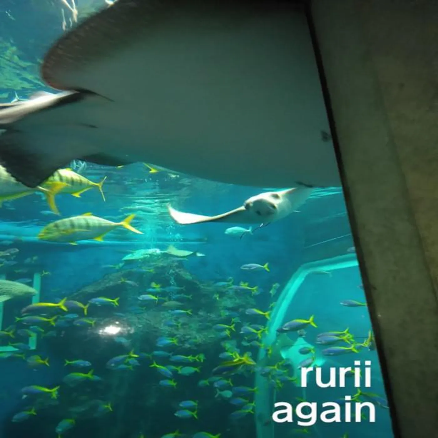 rurii Brand Page