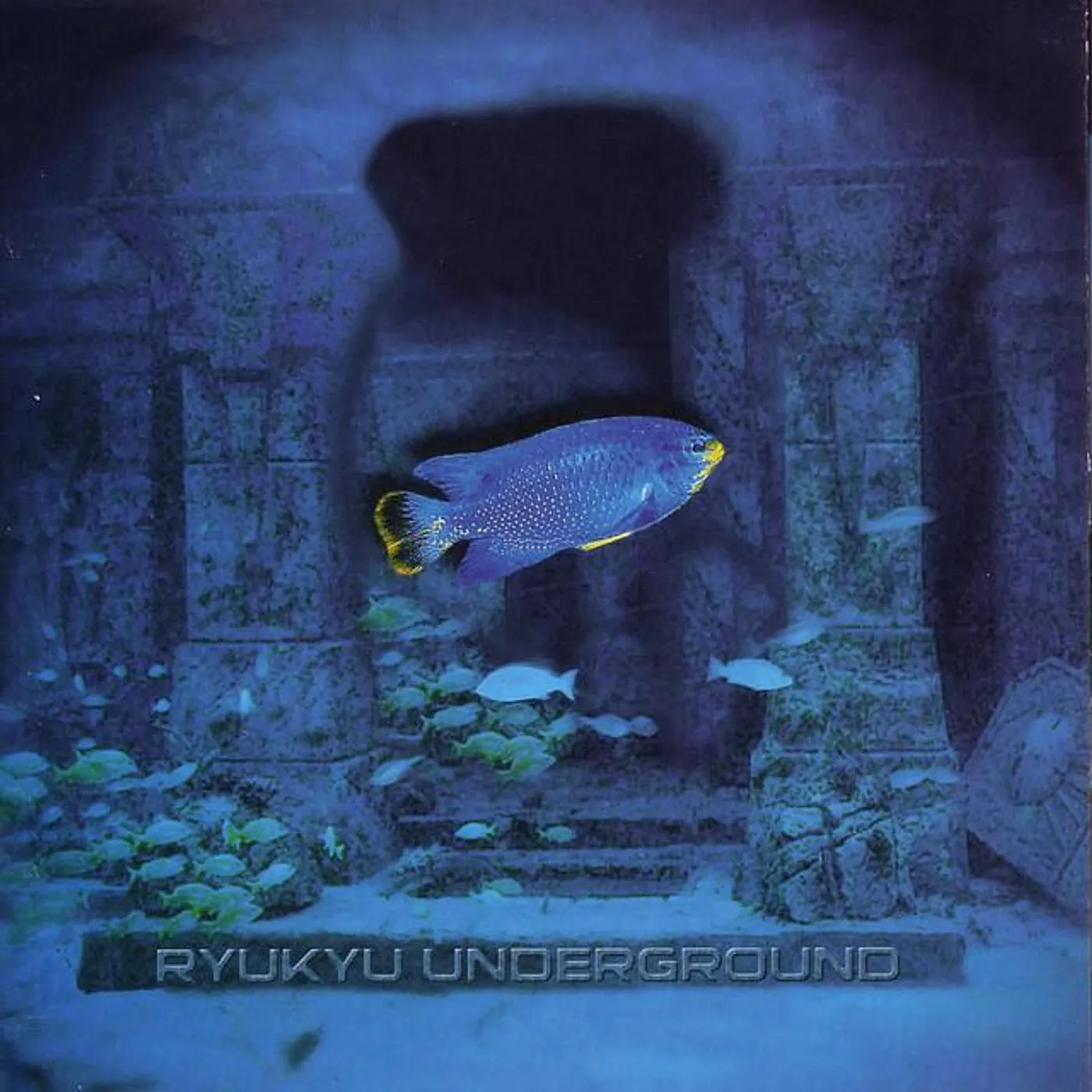 Ryukyu Underground Brand Page