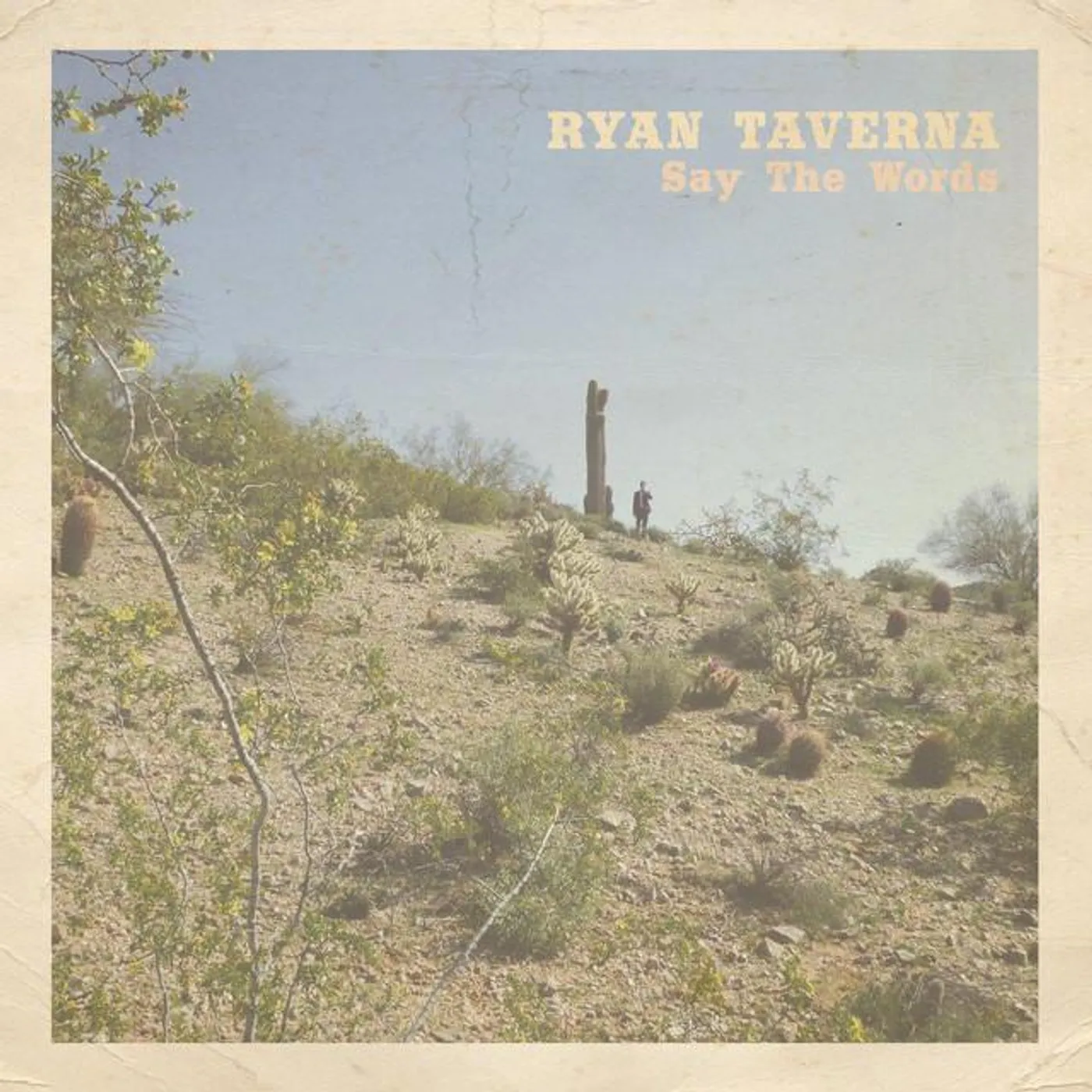 Ryan Taverna Brand Page