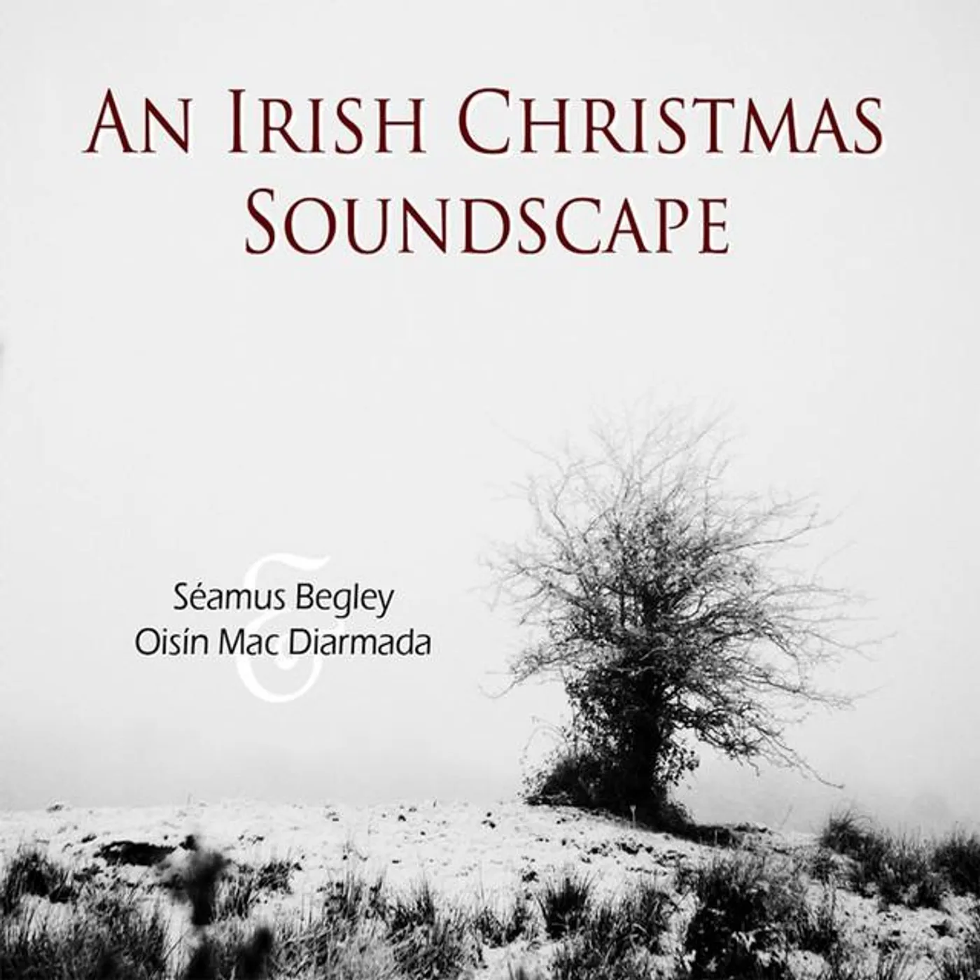 Séamus Begley & Oisín Mac Diarmada