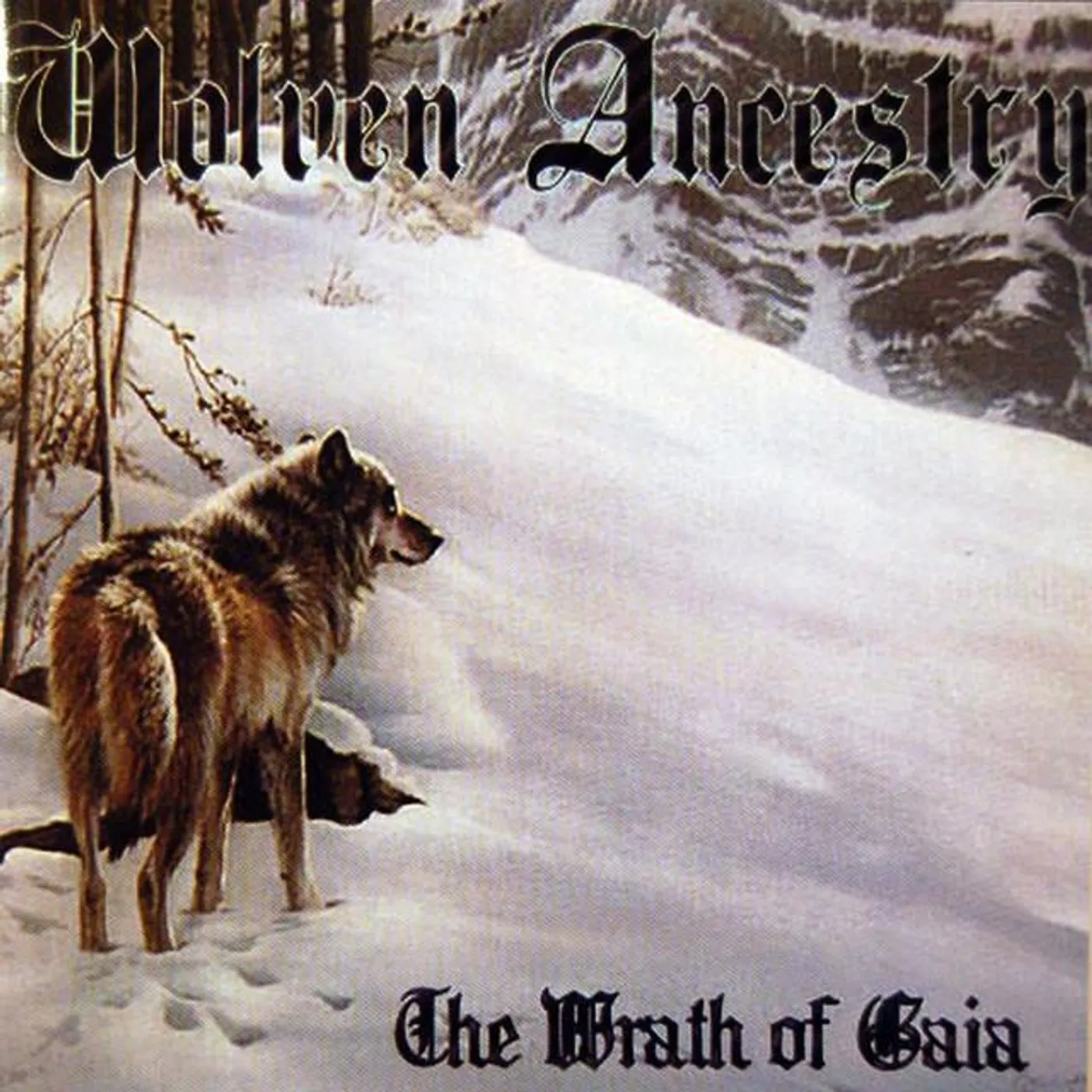 Wolven Ancestry