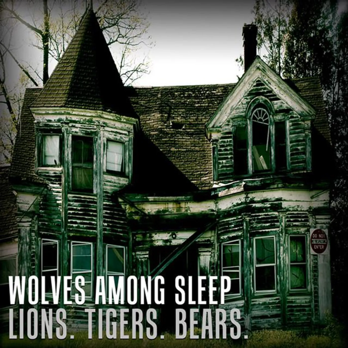 Wolves Among Sleep