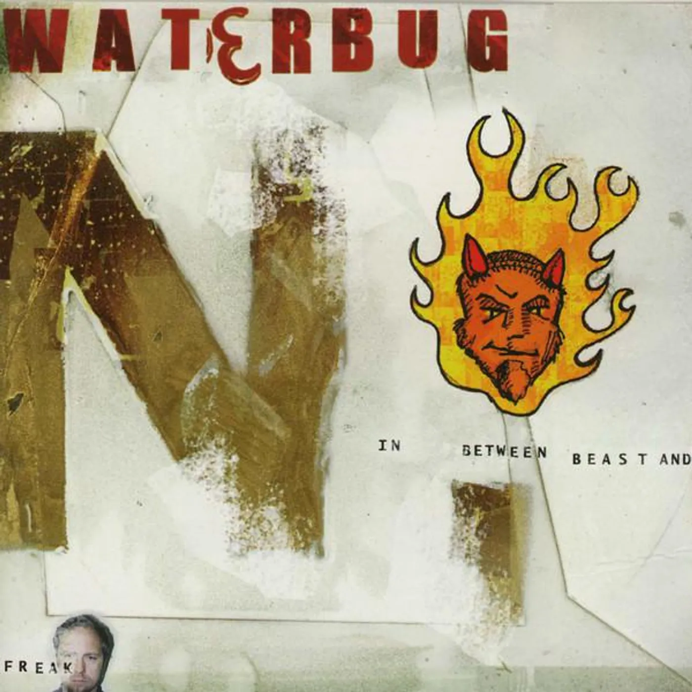 Waterbug