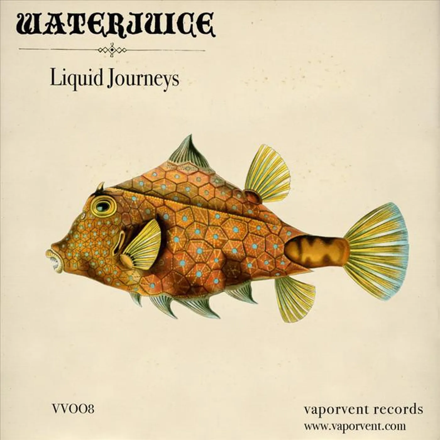Waterjuice Brand Page