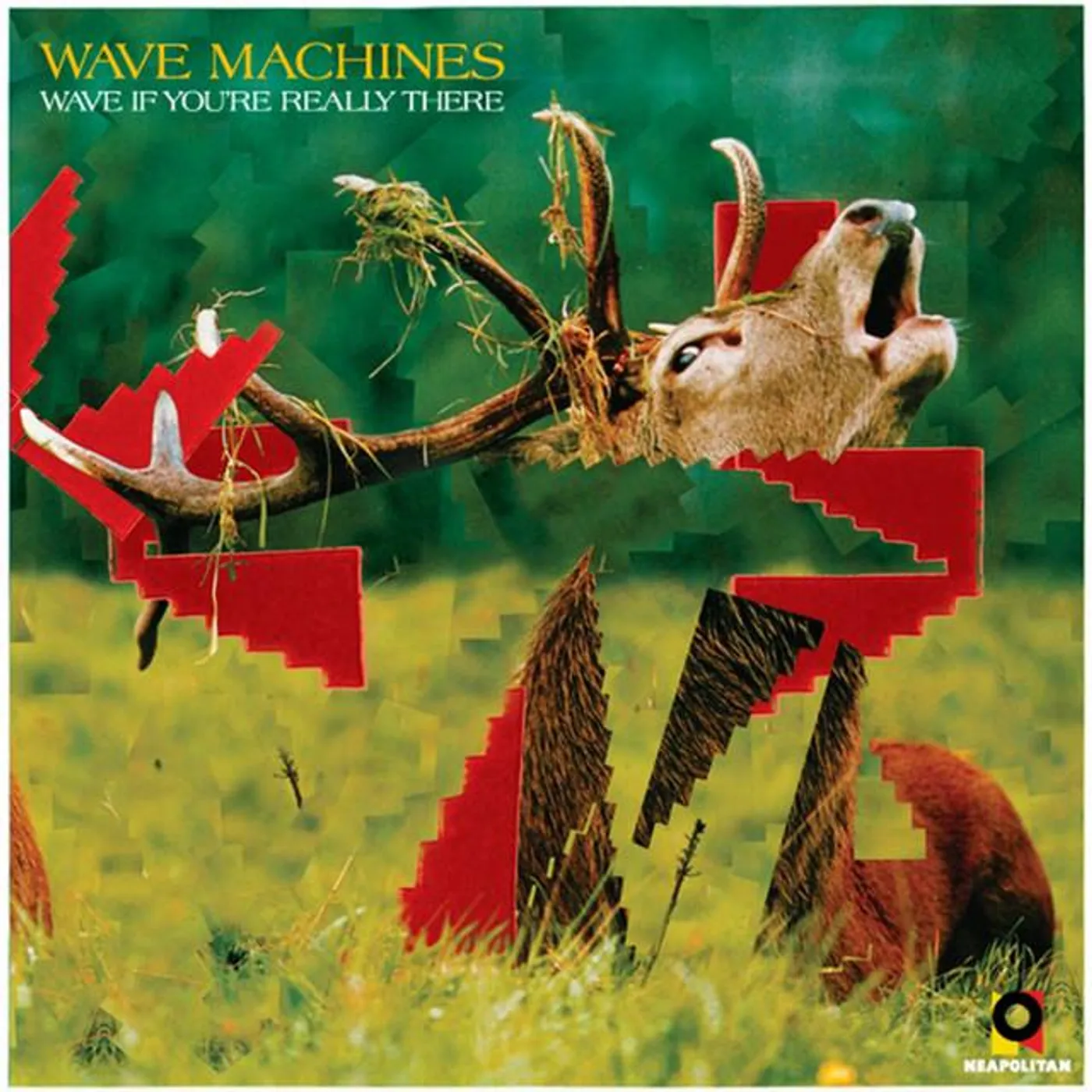 Wave Machines