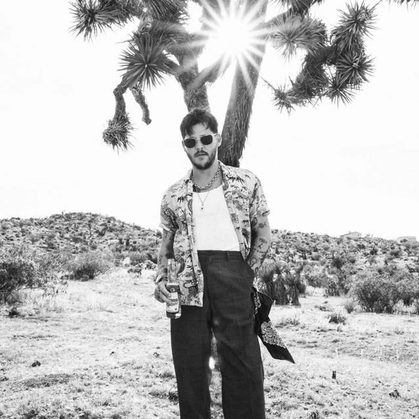 Wavves Brand Page