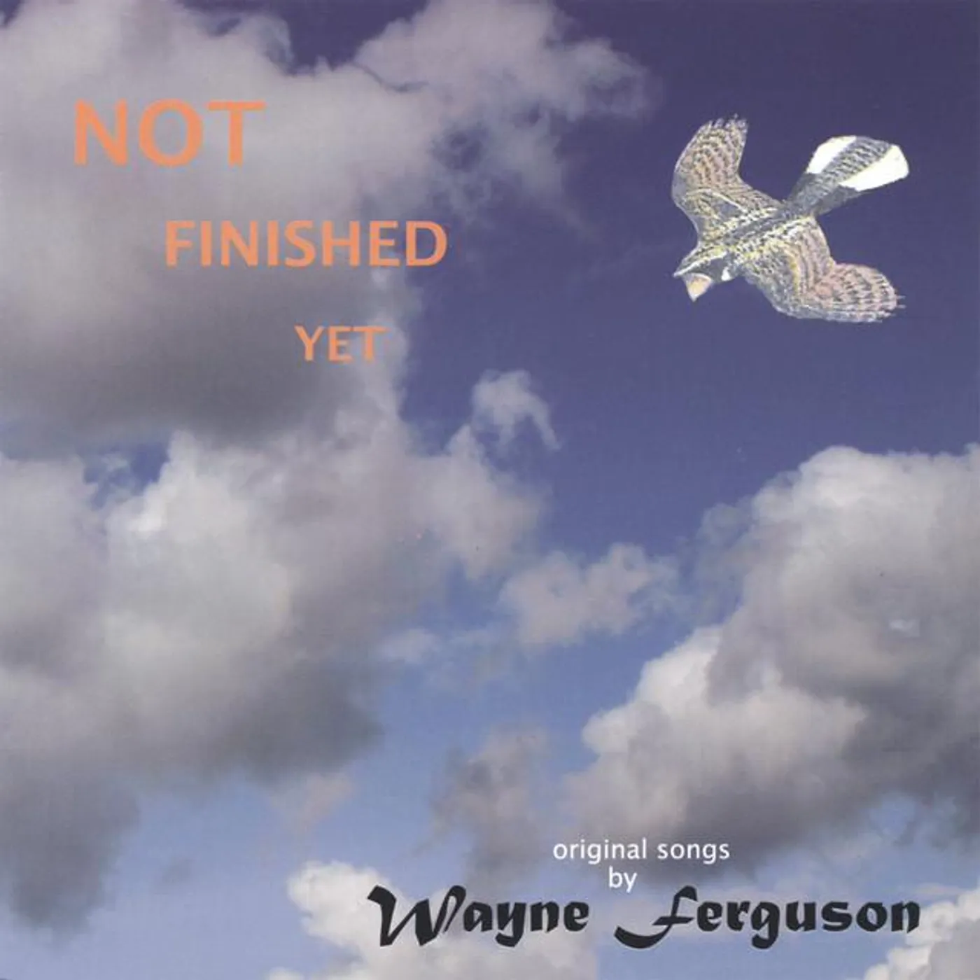 Wayne Ferguson