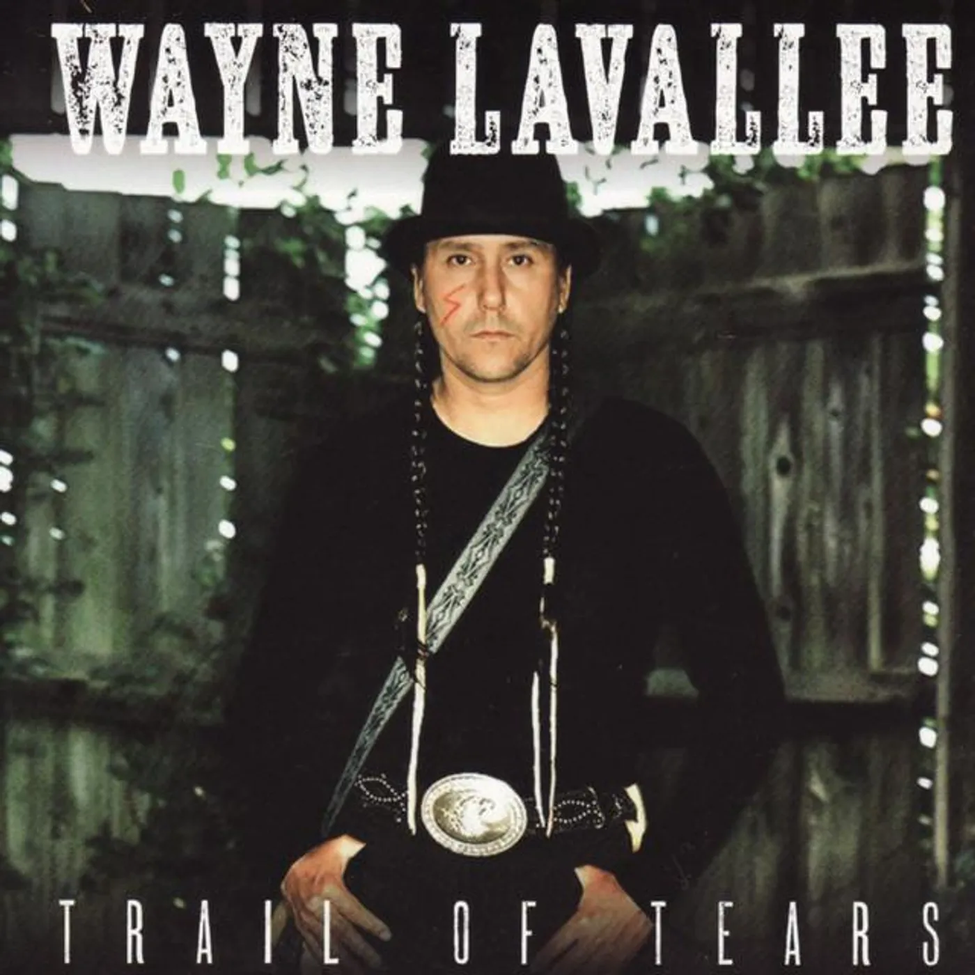 Wayne Lavallee Brand Page