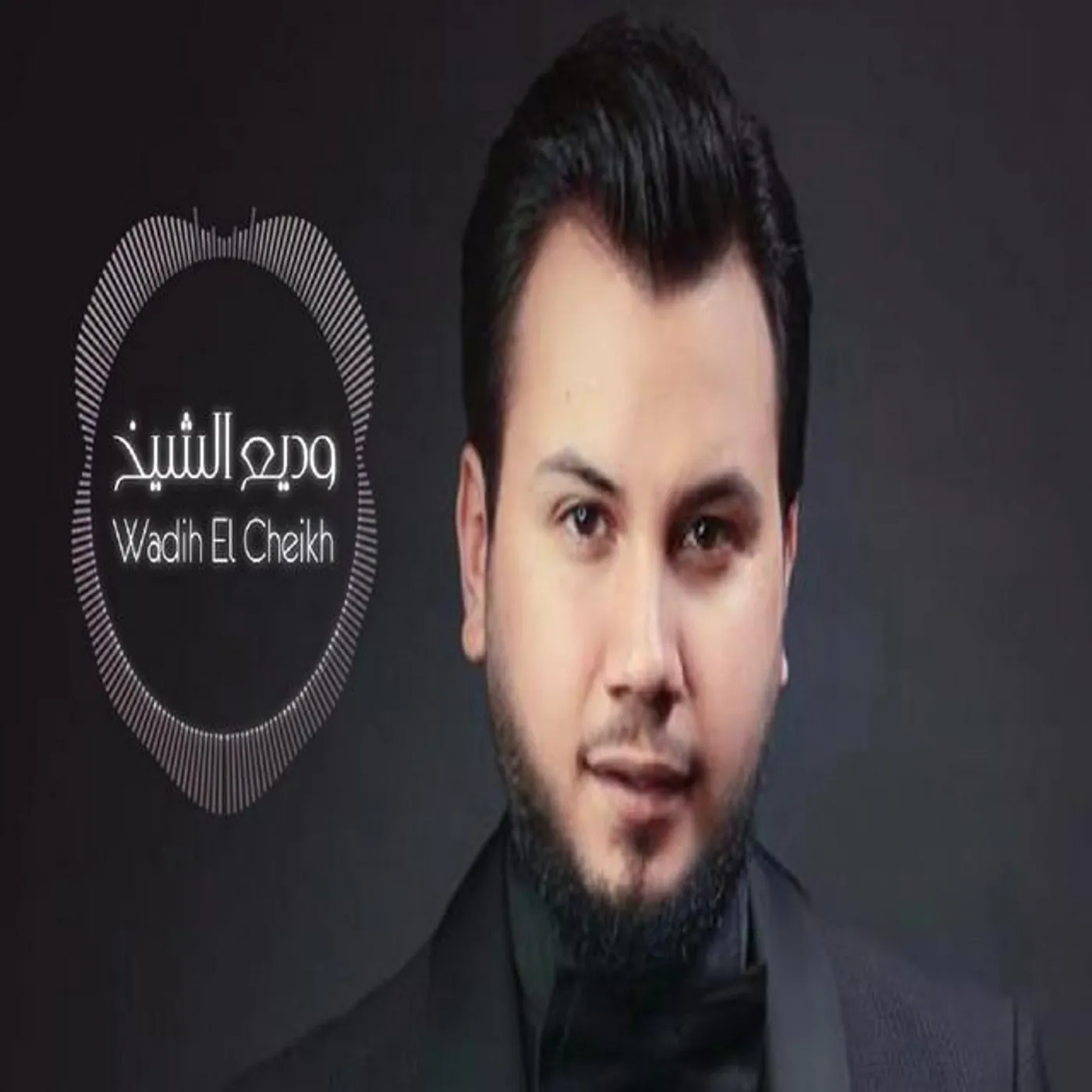 Wadih El Seikh