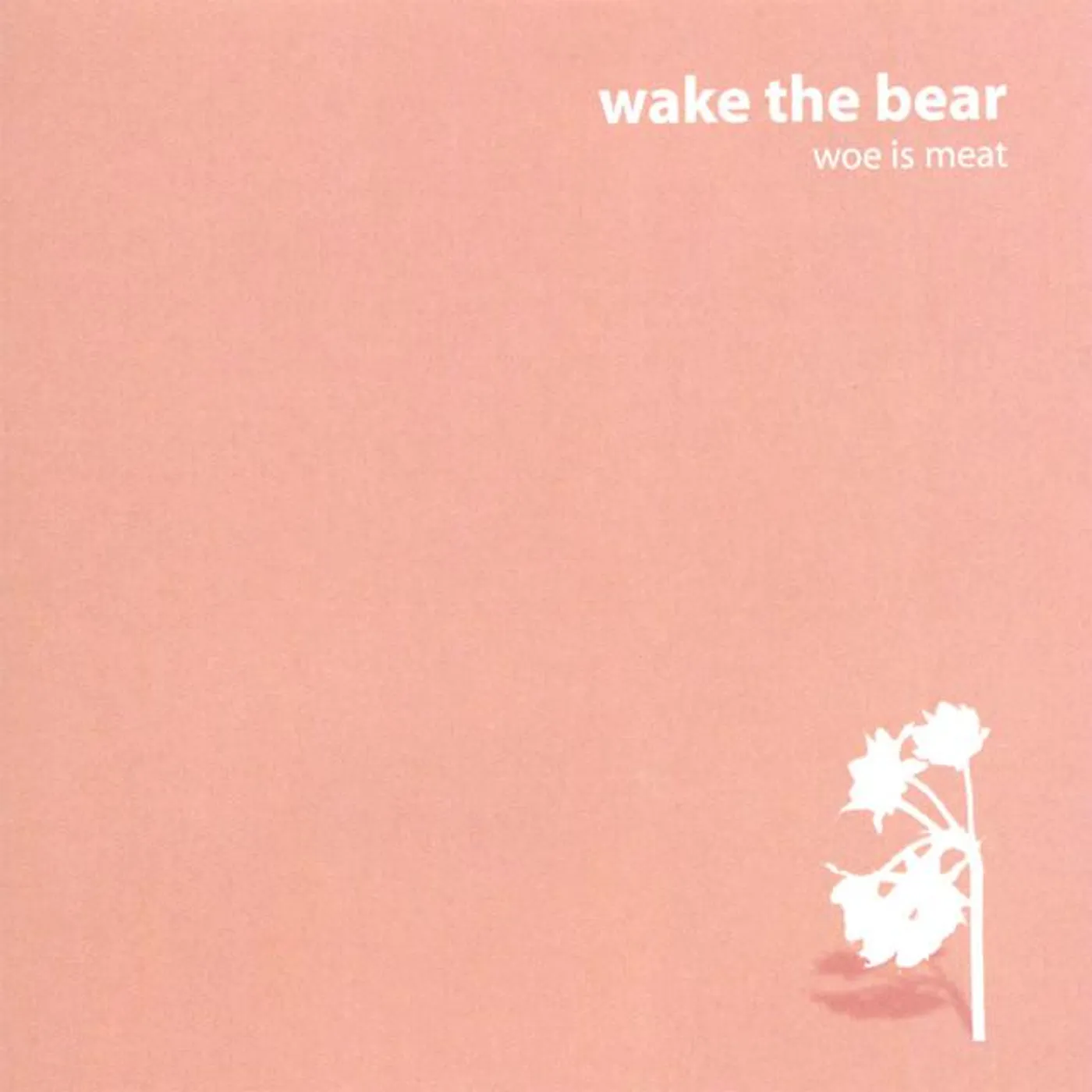 Wake the Bear Brand Page