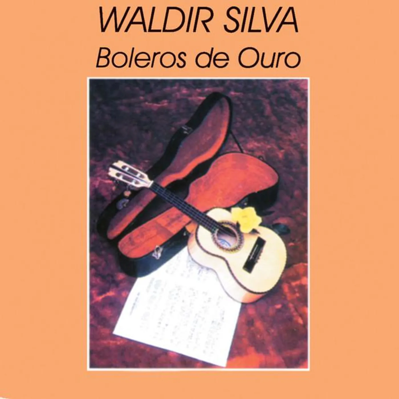 Waldir Silva