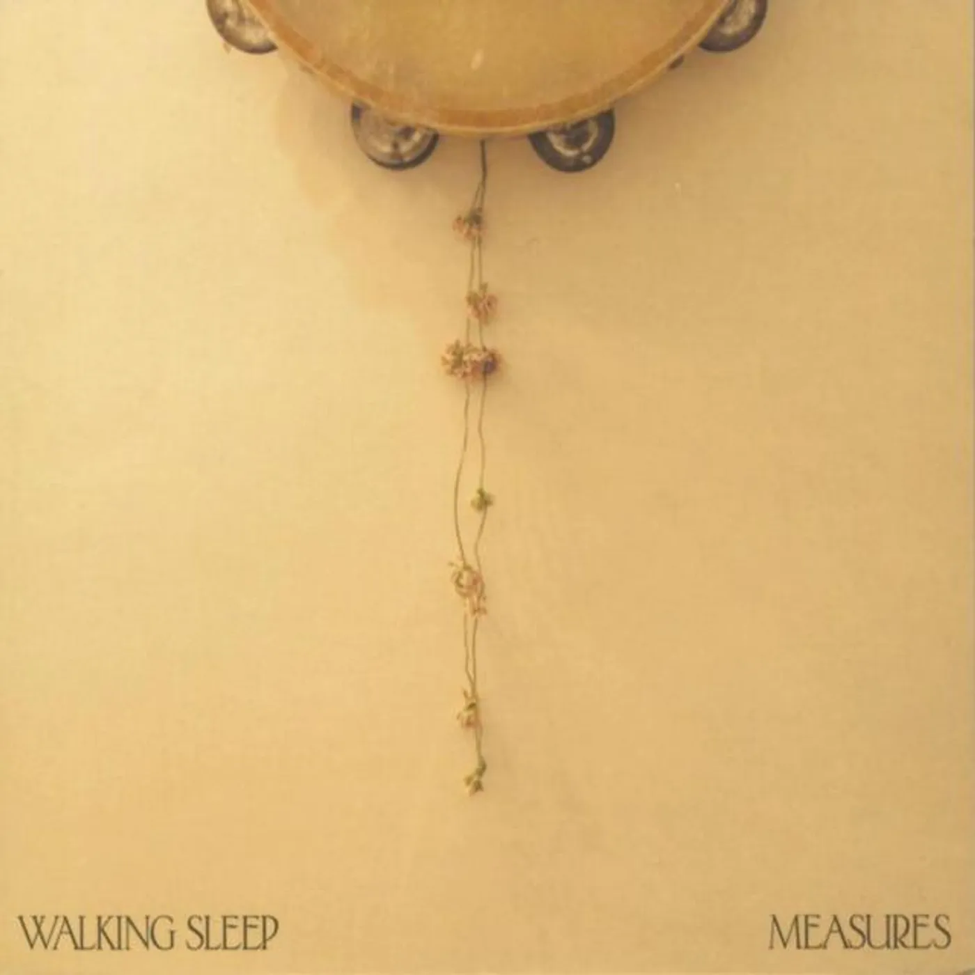 Walking Sleep