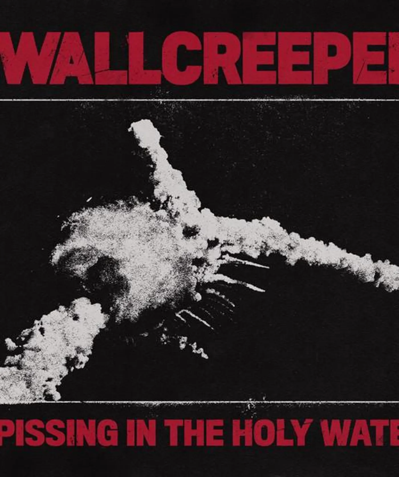 Wallcreeper