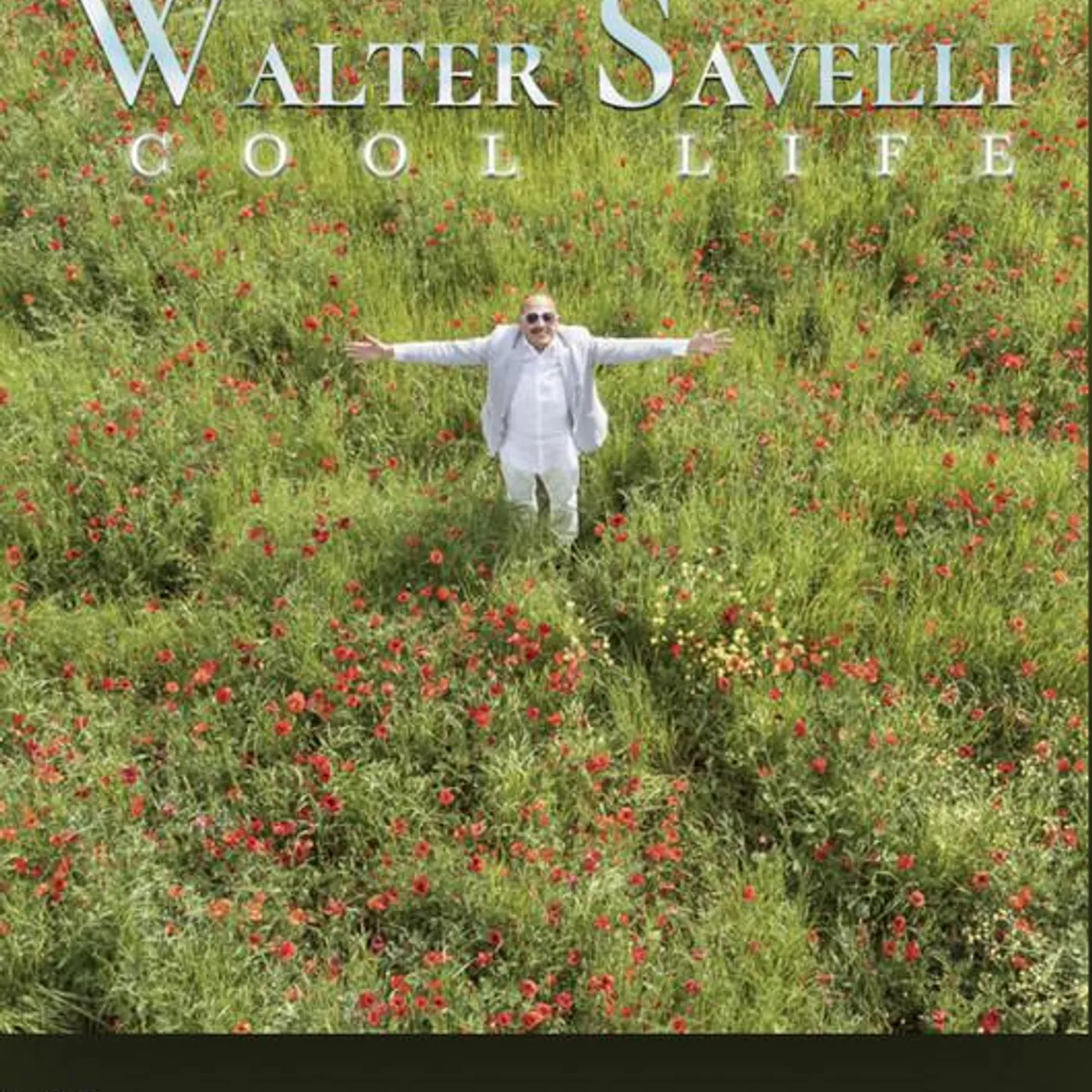 Walter Savelli Brand Page