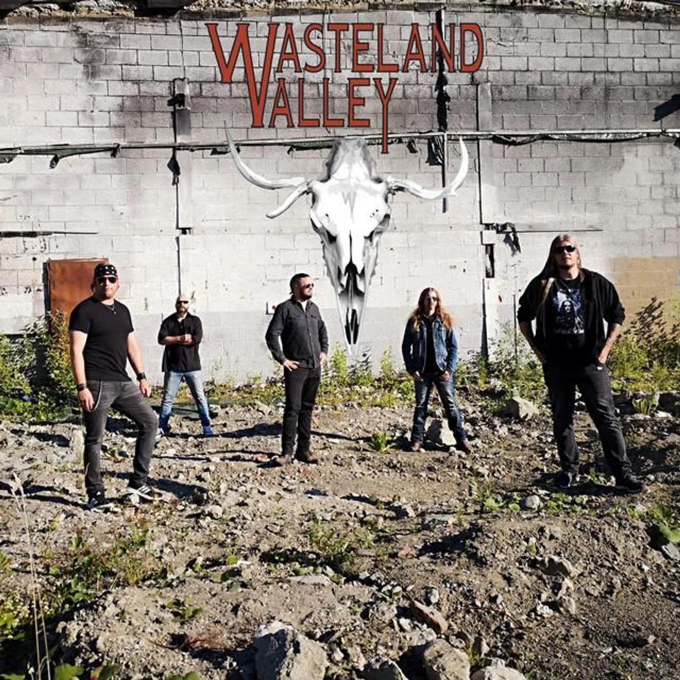 Wasteland Valley
