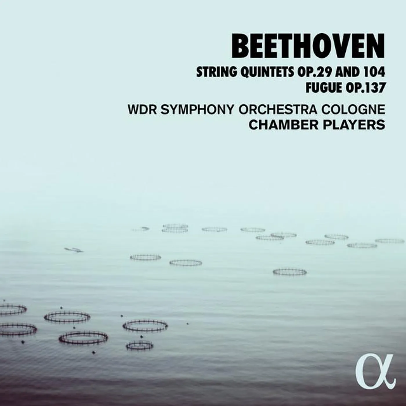 WDR Symphony Orchestra Cologne Chamber Players Brand Page