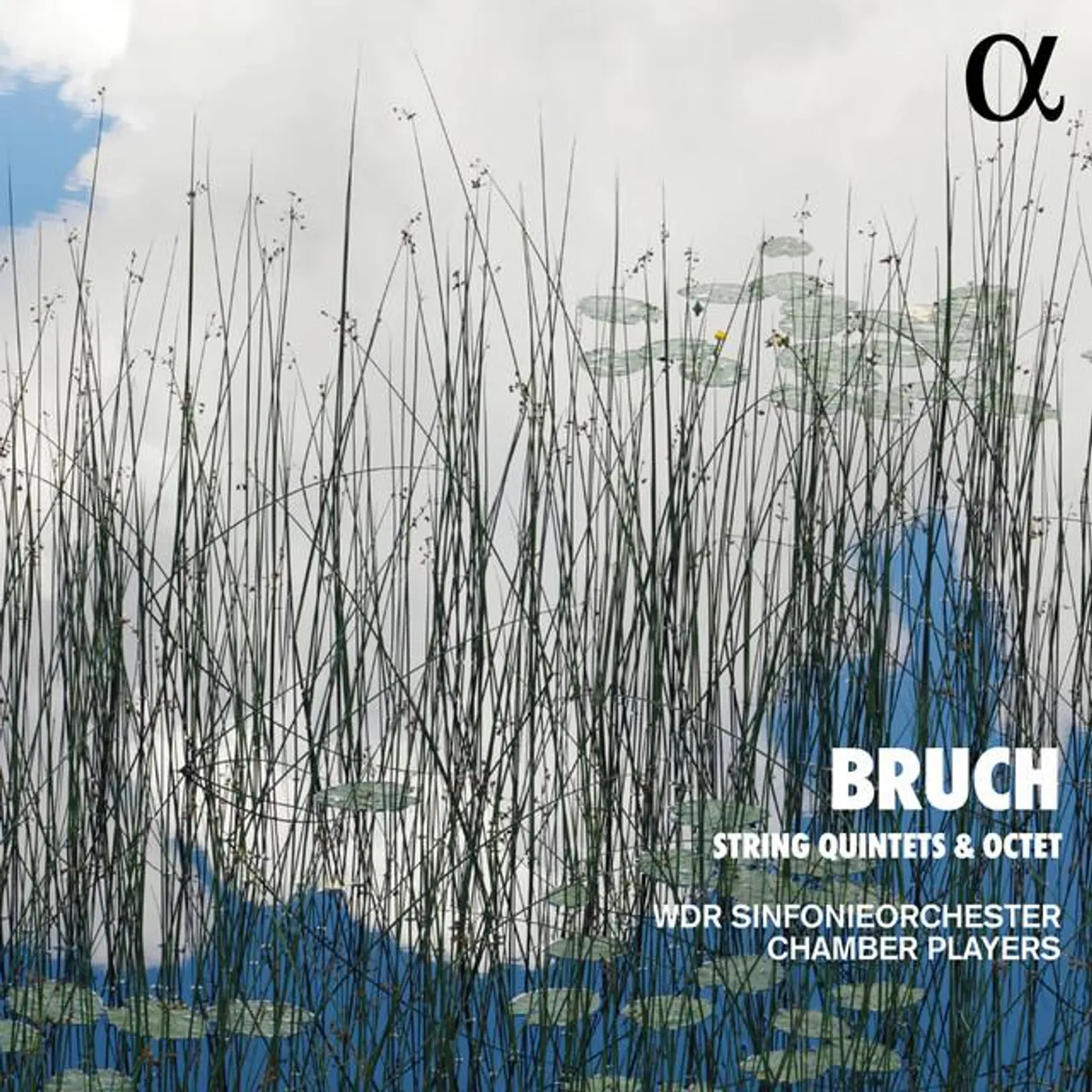 WDR Sinfonieorchester Chamber Players Brand Page