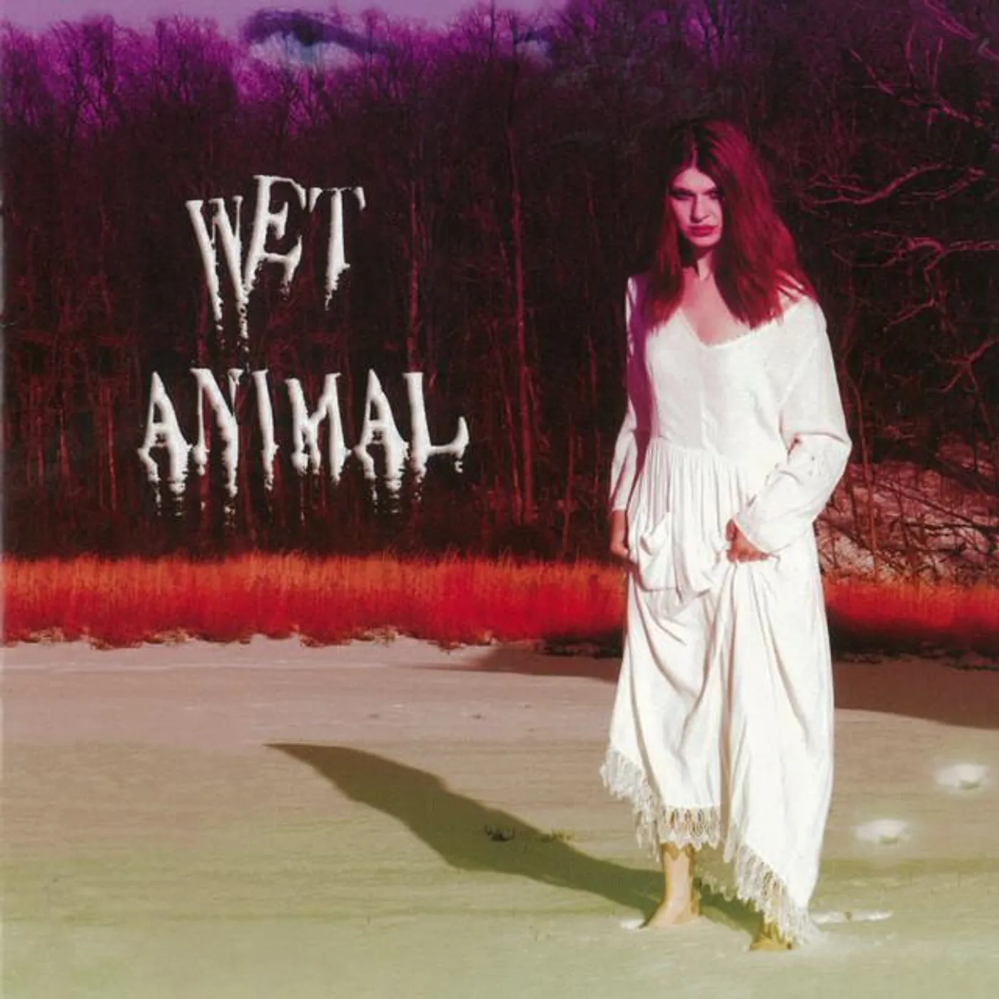 Wet Animal