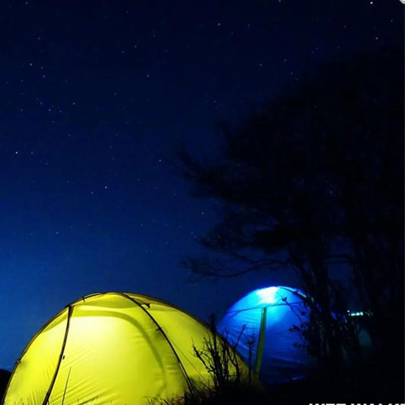 Wez Walker Brand Page