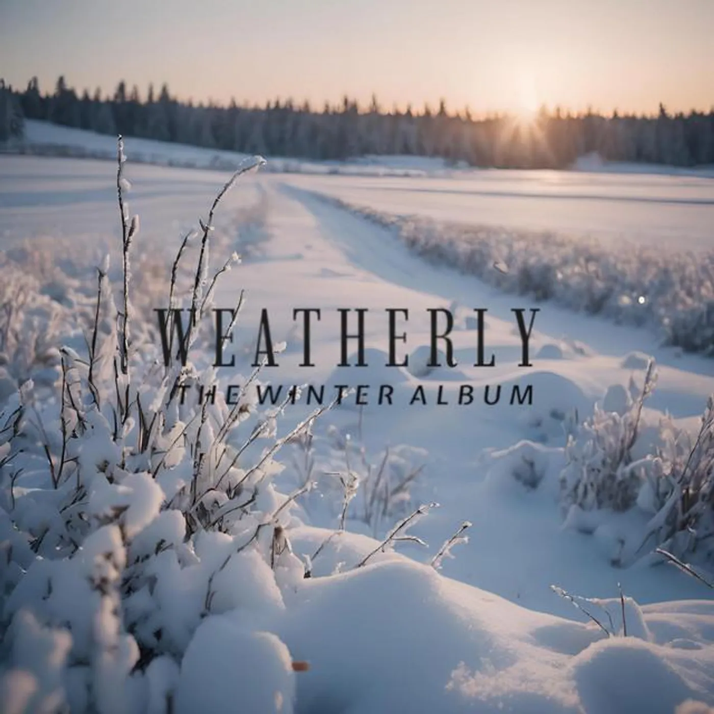Weatherly