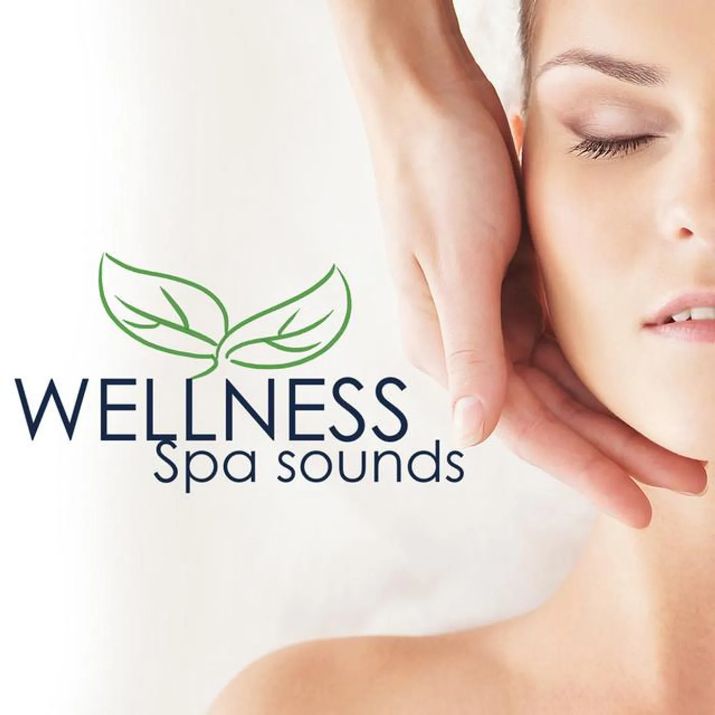 Wellness Brand Page