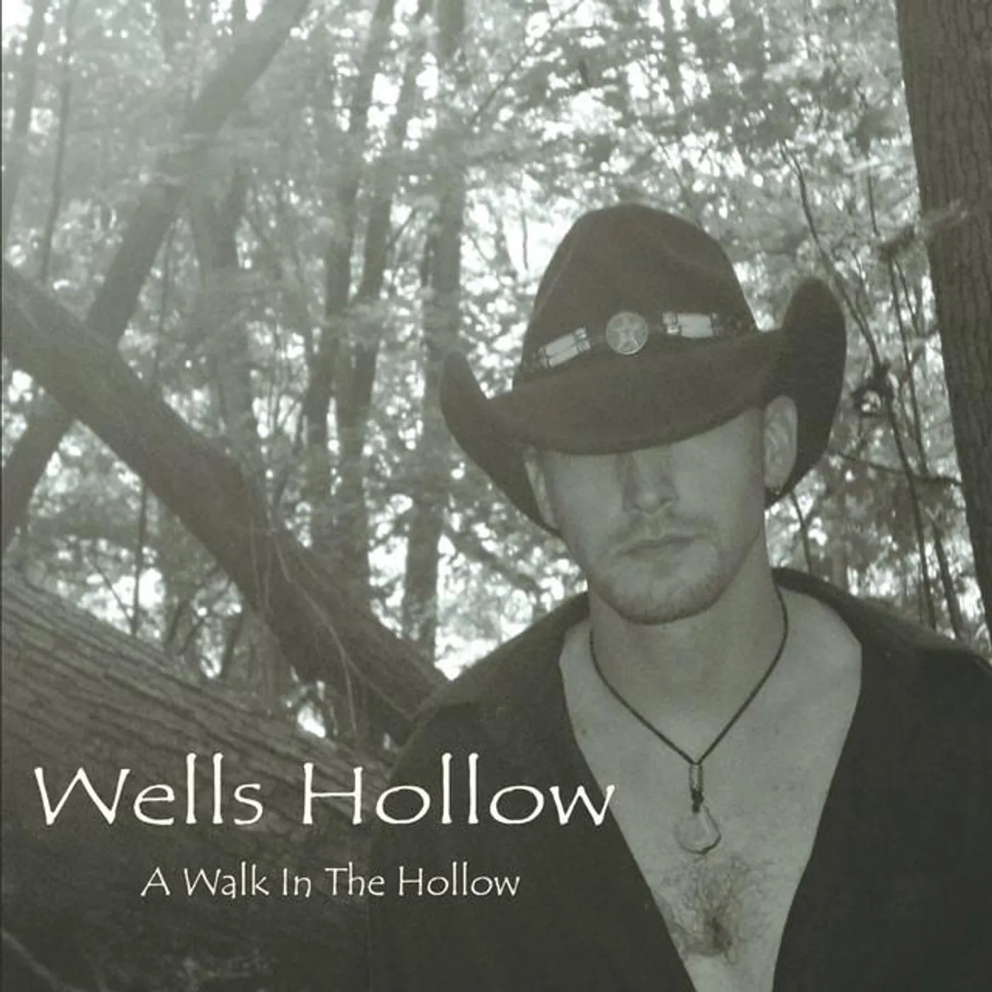 Wells Hollow Brand Page