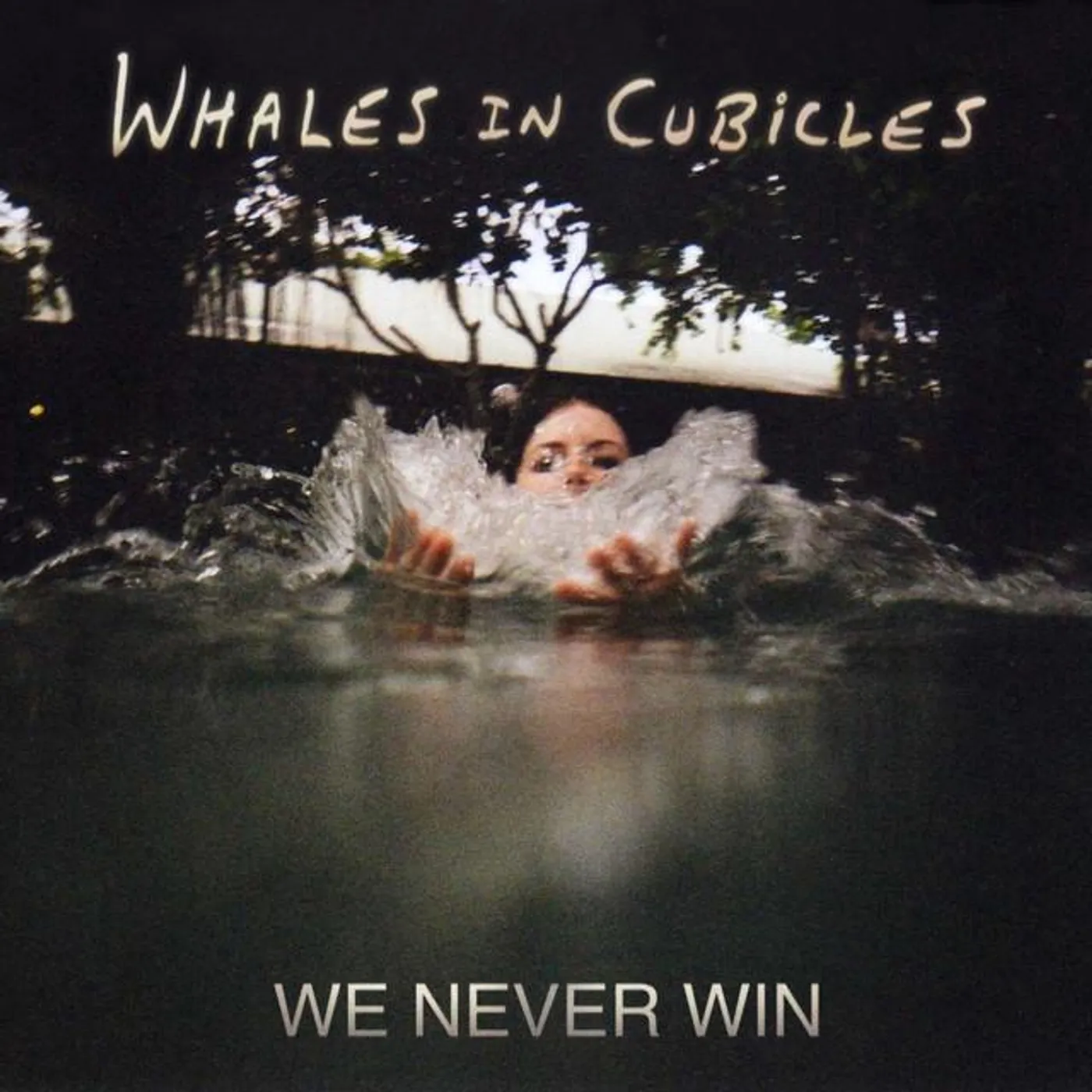 Whales In Cubicles