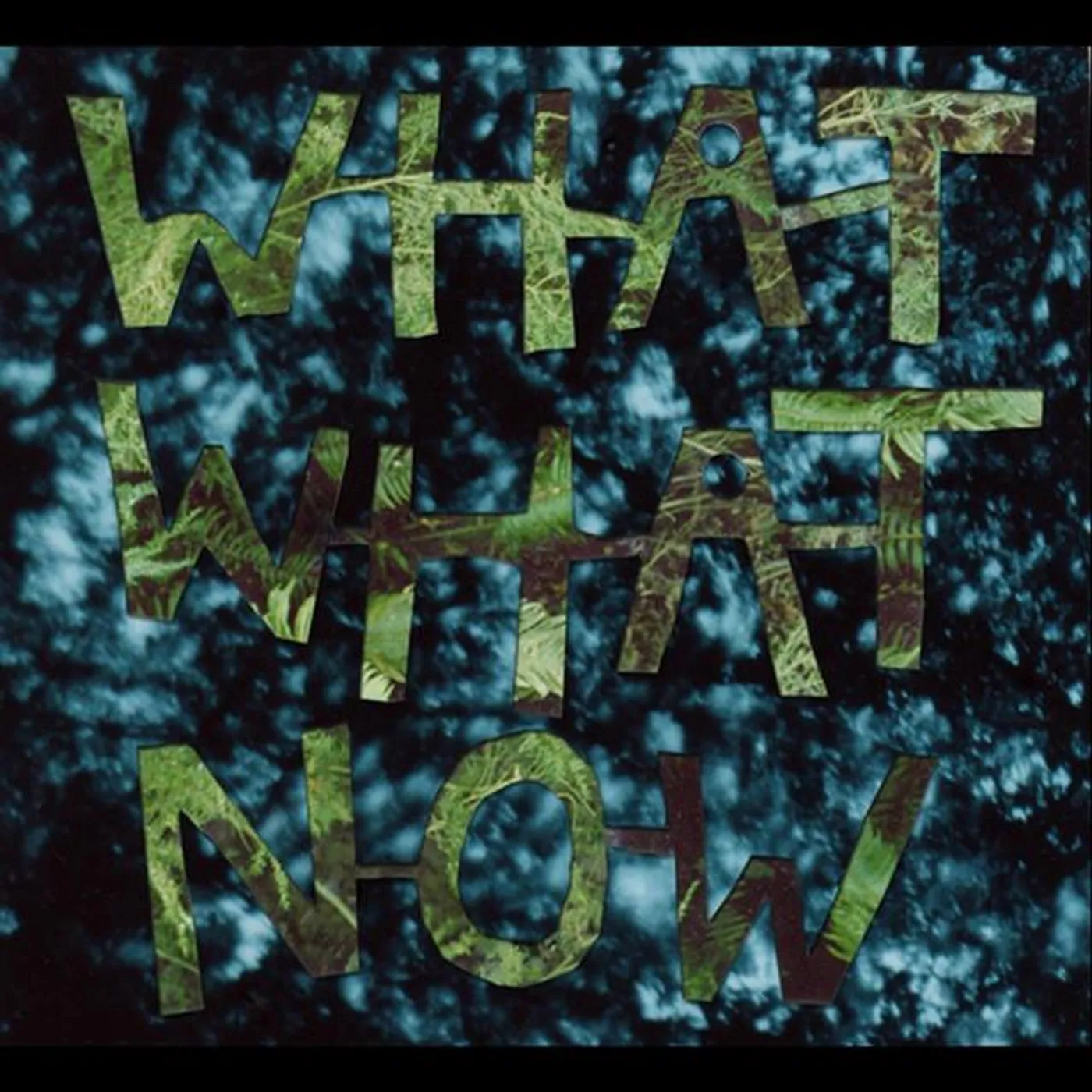 What What Now Brand Page
