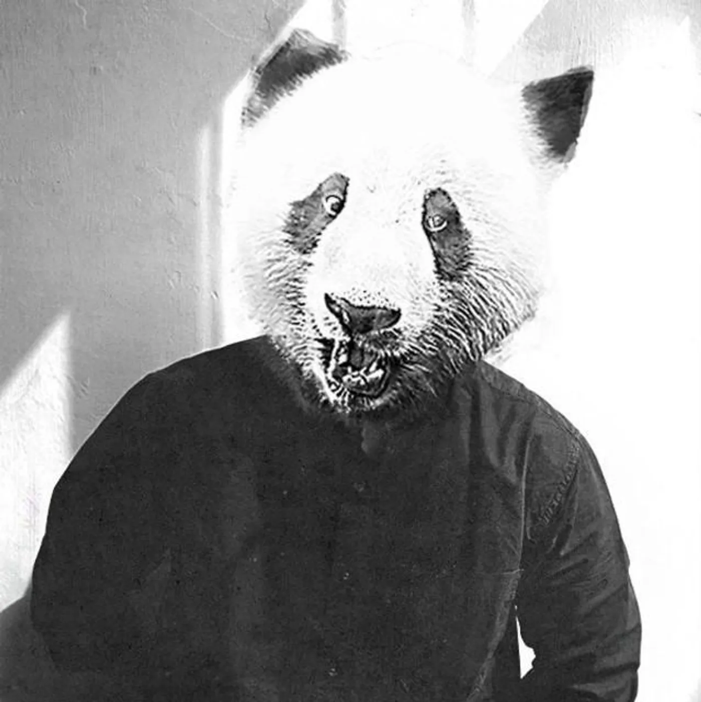 When Pandas Attack